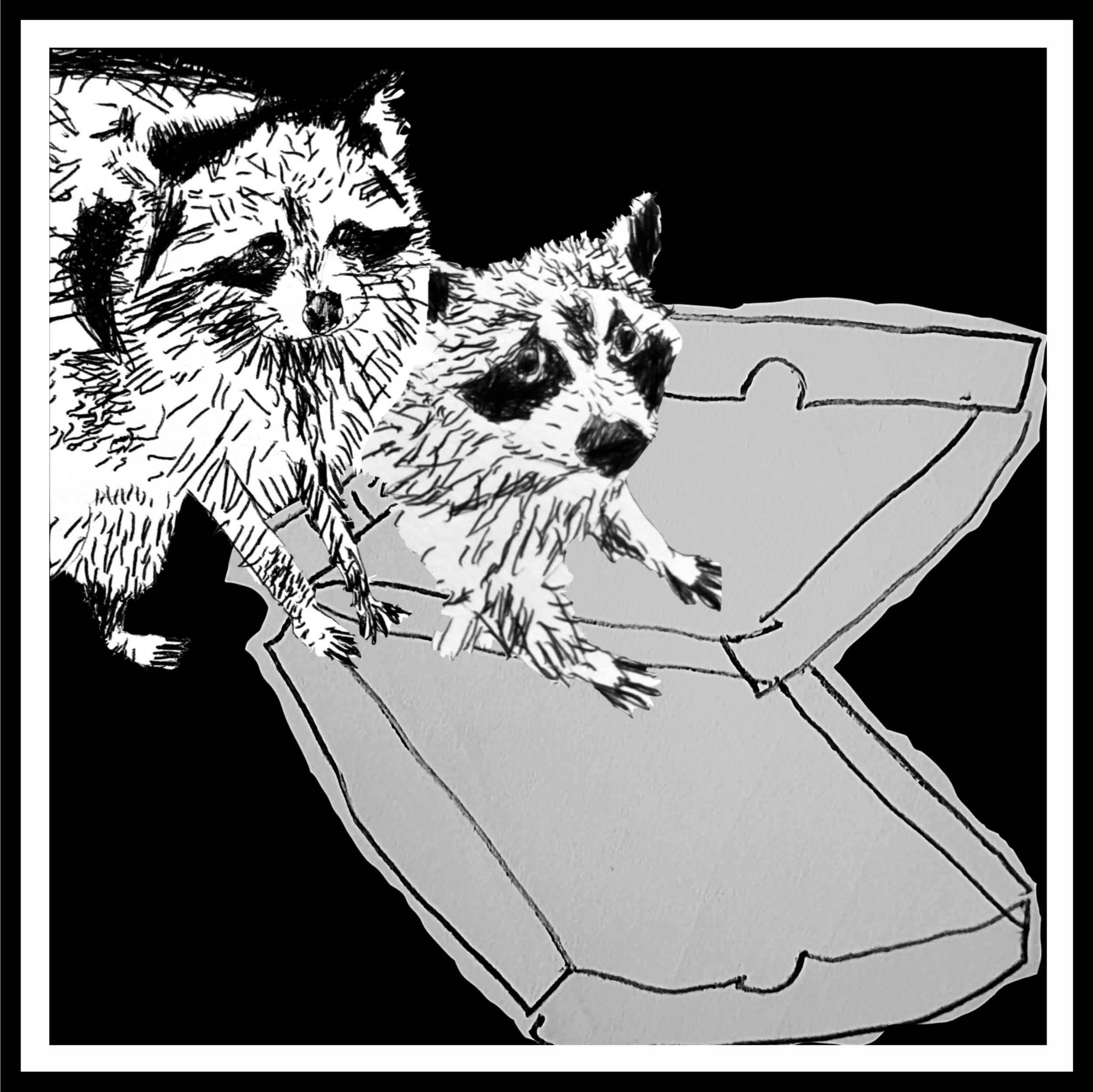 TT raccoons.png