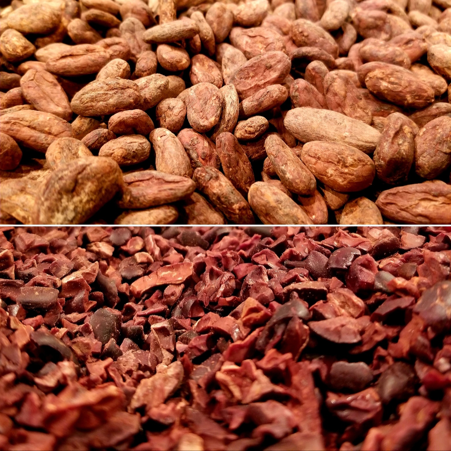 BEANS to NIBS - web.jpg
