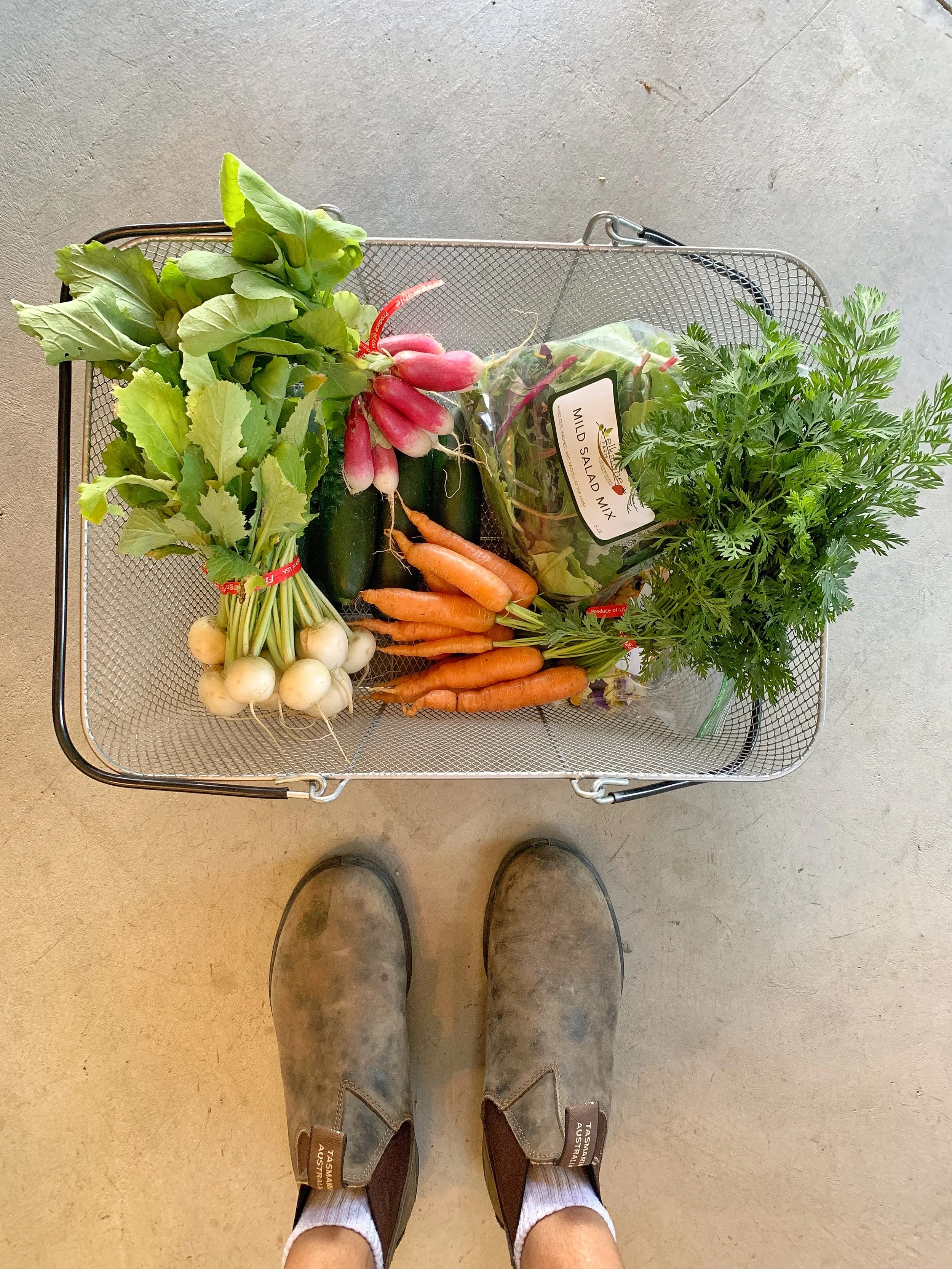 Steamboat Springs, CO : How to be a Yampavore and Eat Local