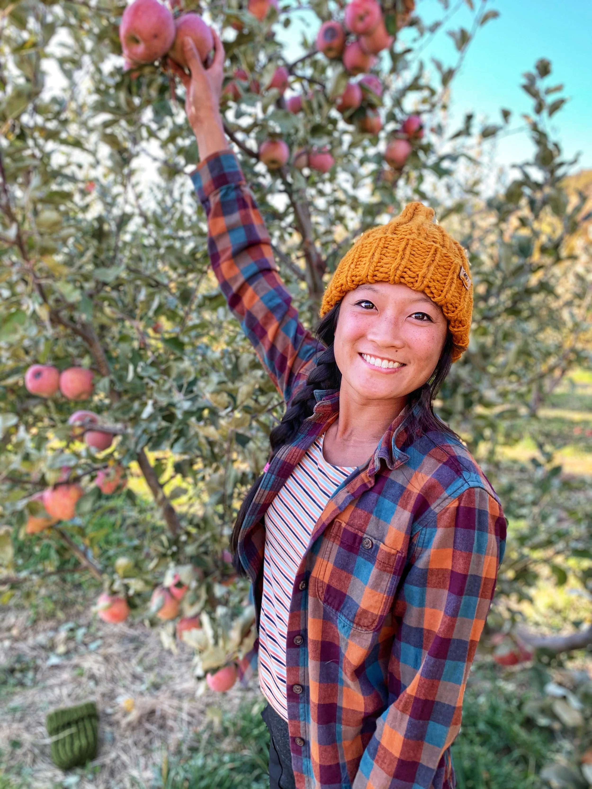Apple Harvest, Cider, and Orchard Camping!
