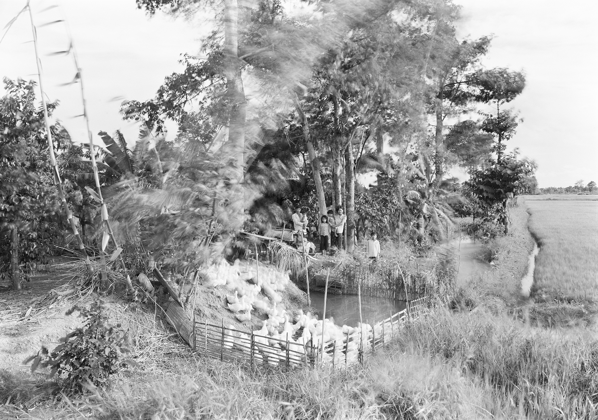 Untitled, Mekong Delta, 1994