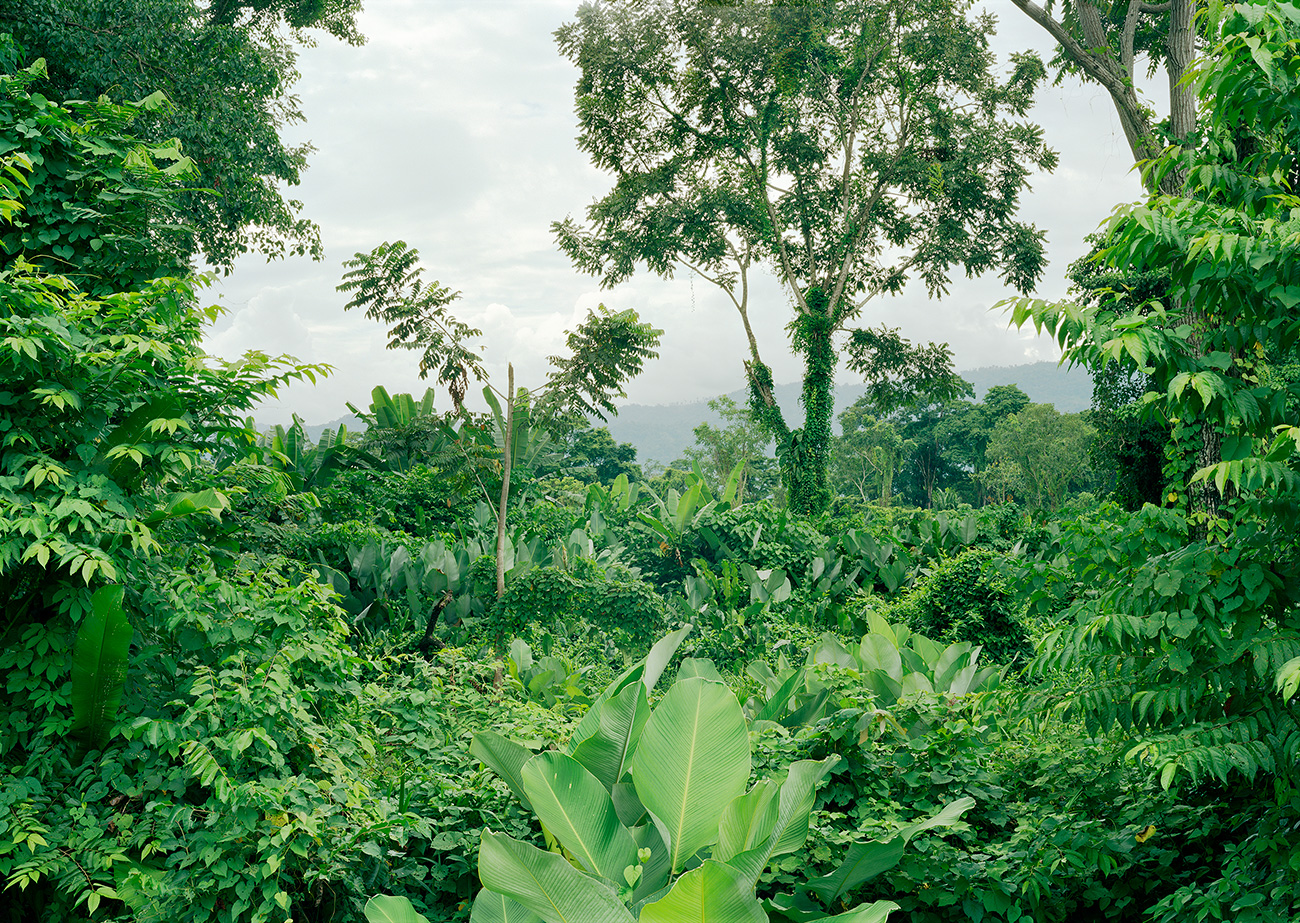 Punta Robala, Panama, 2010