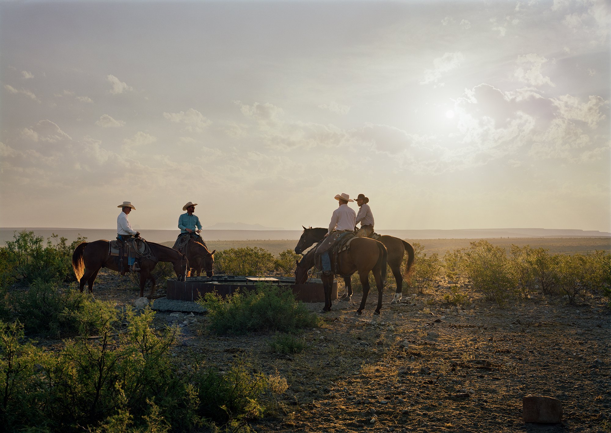 Cattle Drive at Perdiz Creek Ranch (Reservoir), Marfa, Texas, 2019