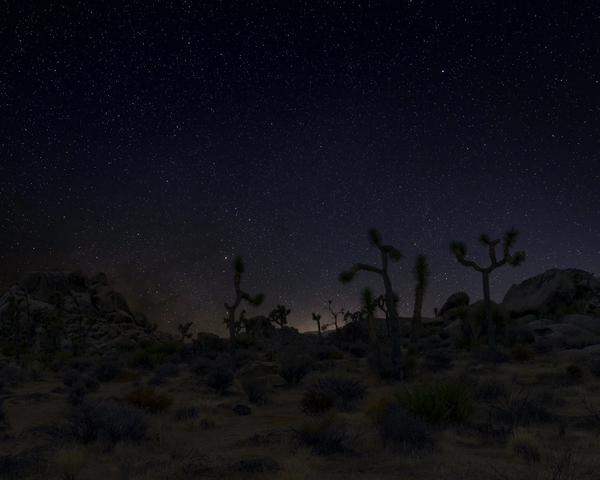  Wilson Canyon, Joshua Tree National Park, California, 2025