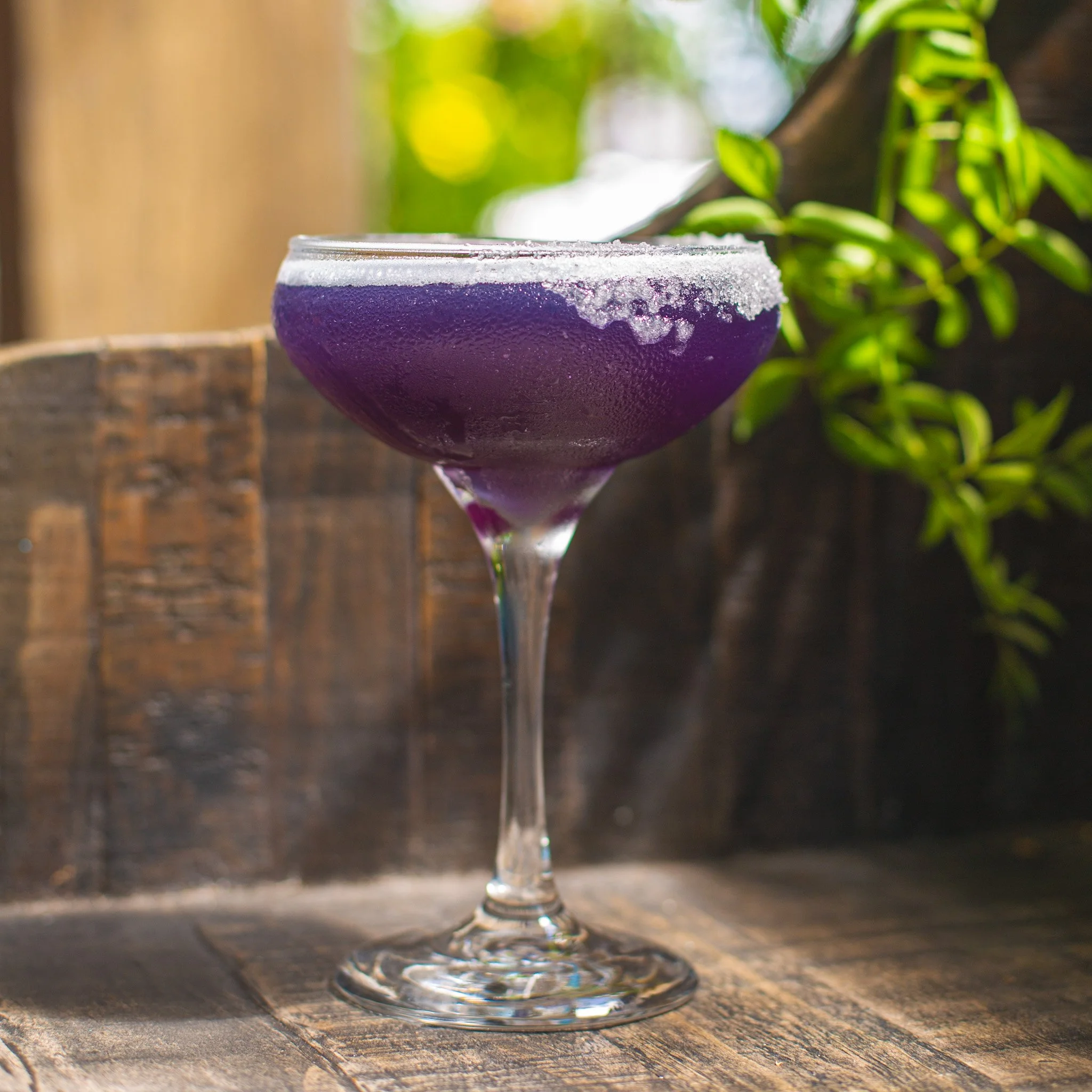 Purple Rain