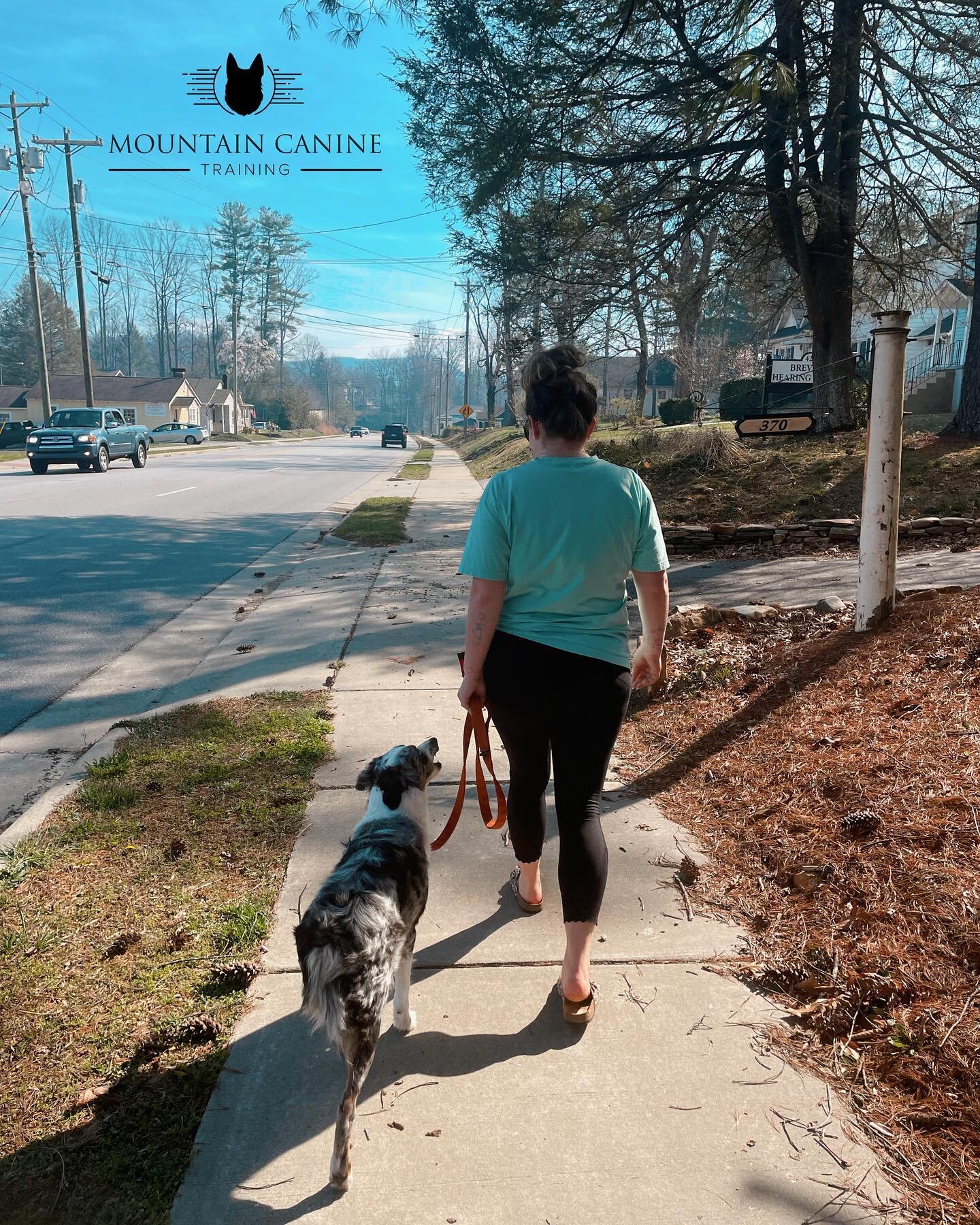 &ldquo;Walk Your Dog.

Even if you have a backyard, let them see the rest of the world.

Even if they are 10lbs, let them sniff the grass.

Even if they are older, let them walk a little slower.

Whether you live in the country, suburbs, or city, wal