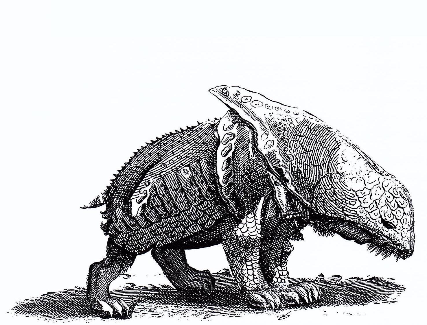 "Of Beasts and Brutes"