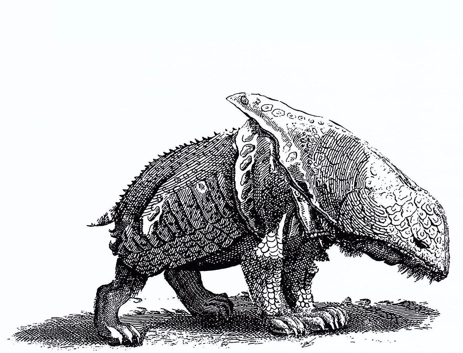 "Of Beasts and Brutes"