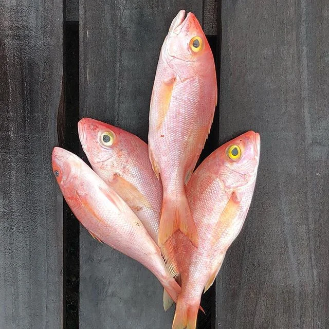 #freshness #pescador #amigo #IslaRosario #Cartagena #Colombia #SouthAmerica #sue&ntilde;os #nofilterneeded