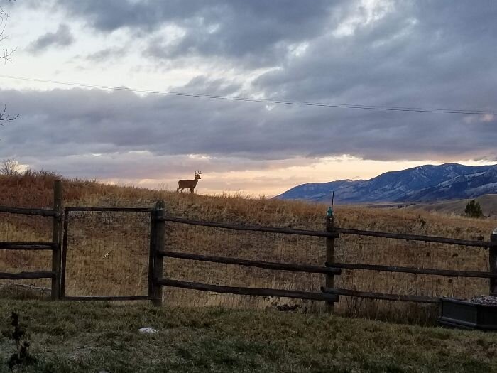 November Newsletter 2020