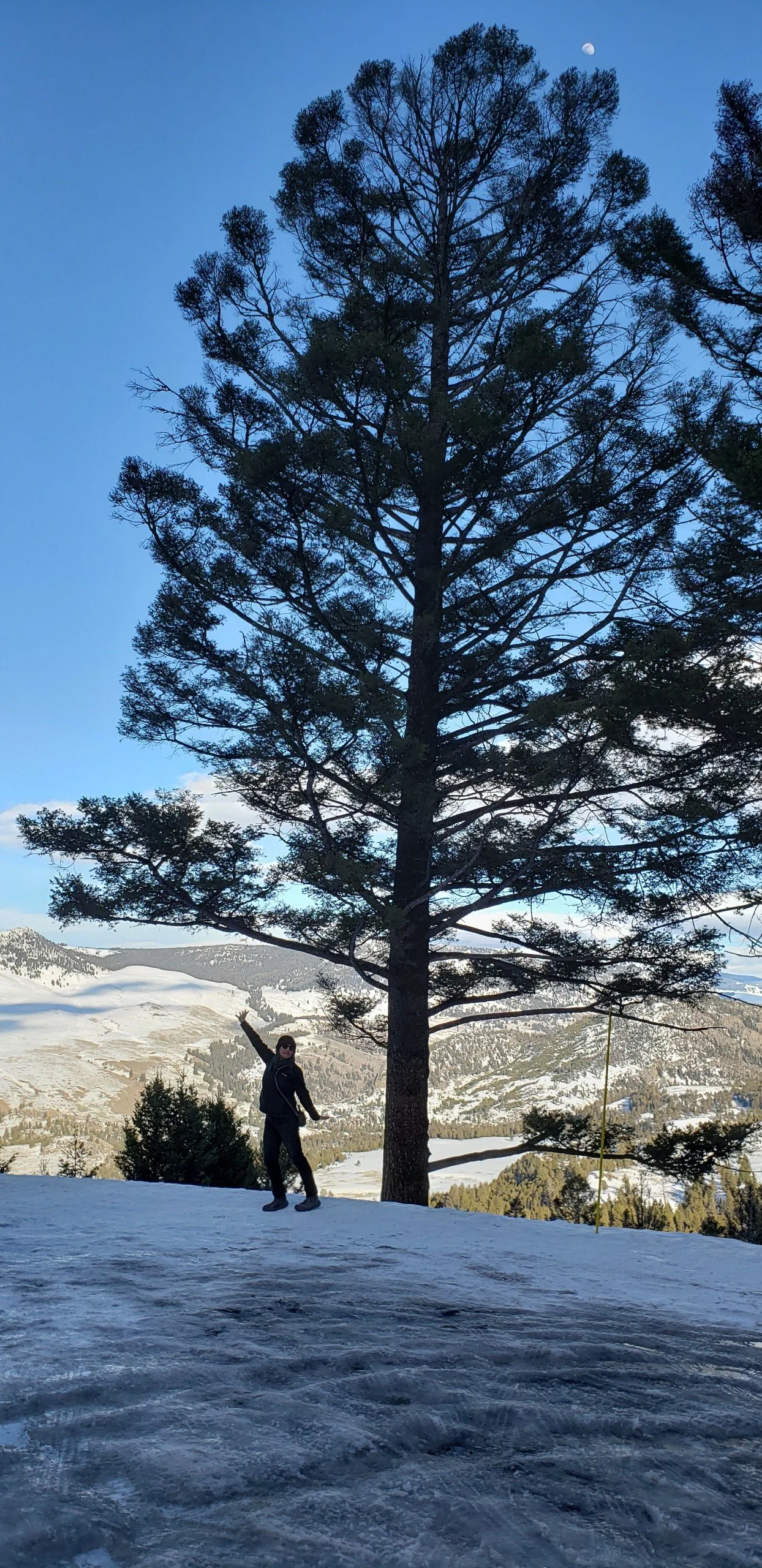 June Newsletter 2022