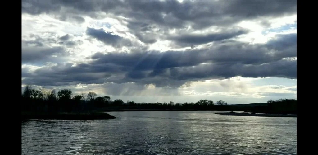 May-June Newsletter 2023