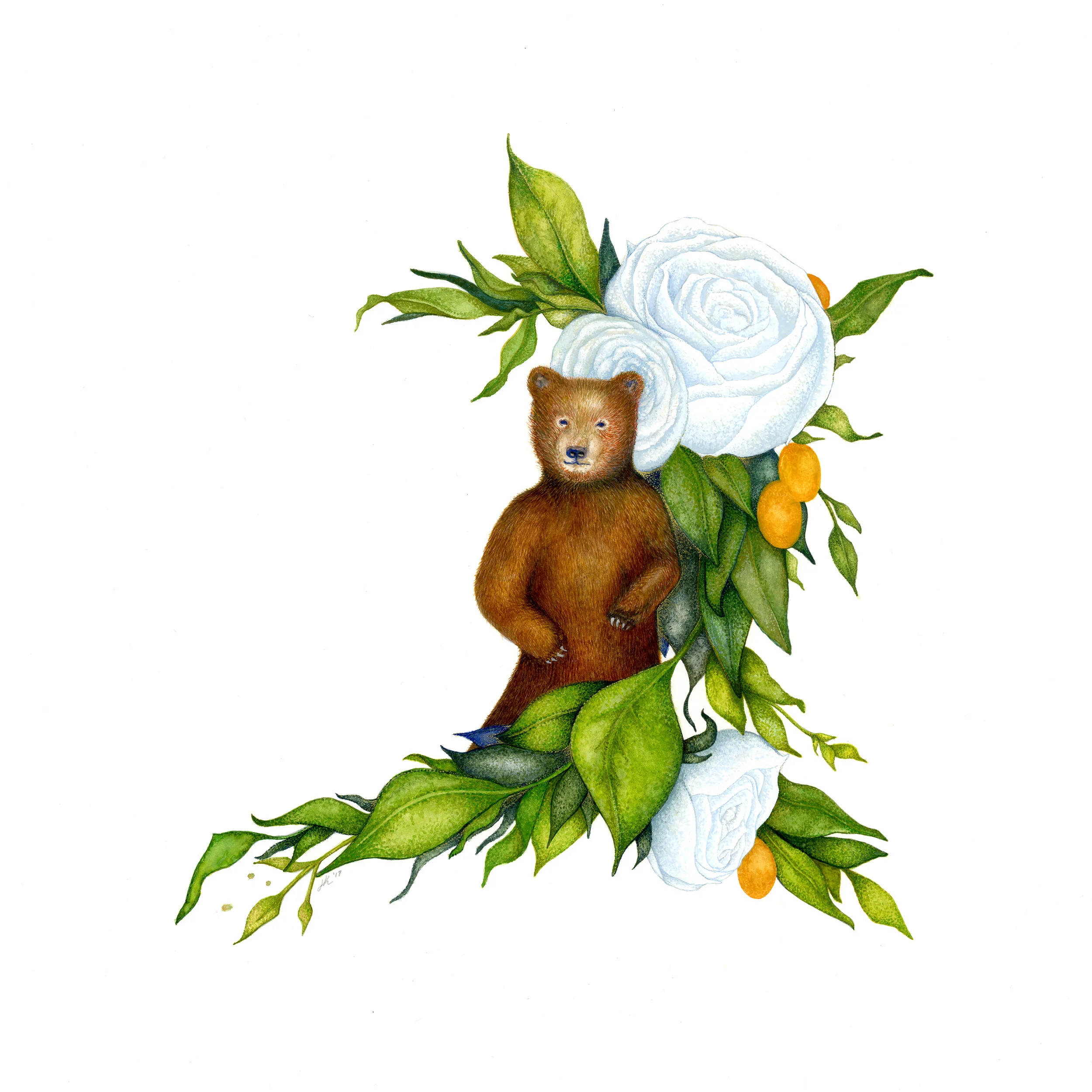 Bear Print.jpg