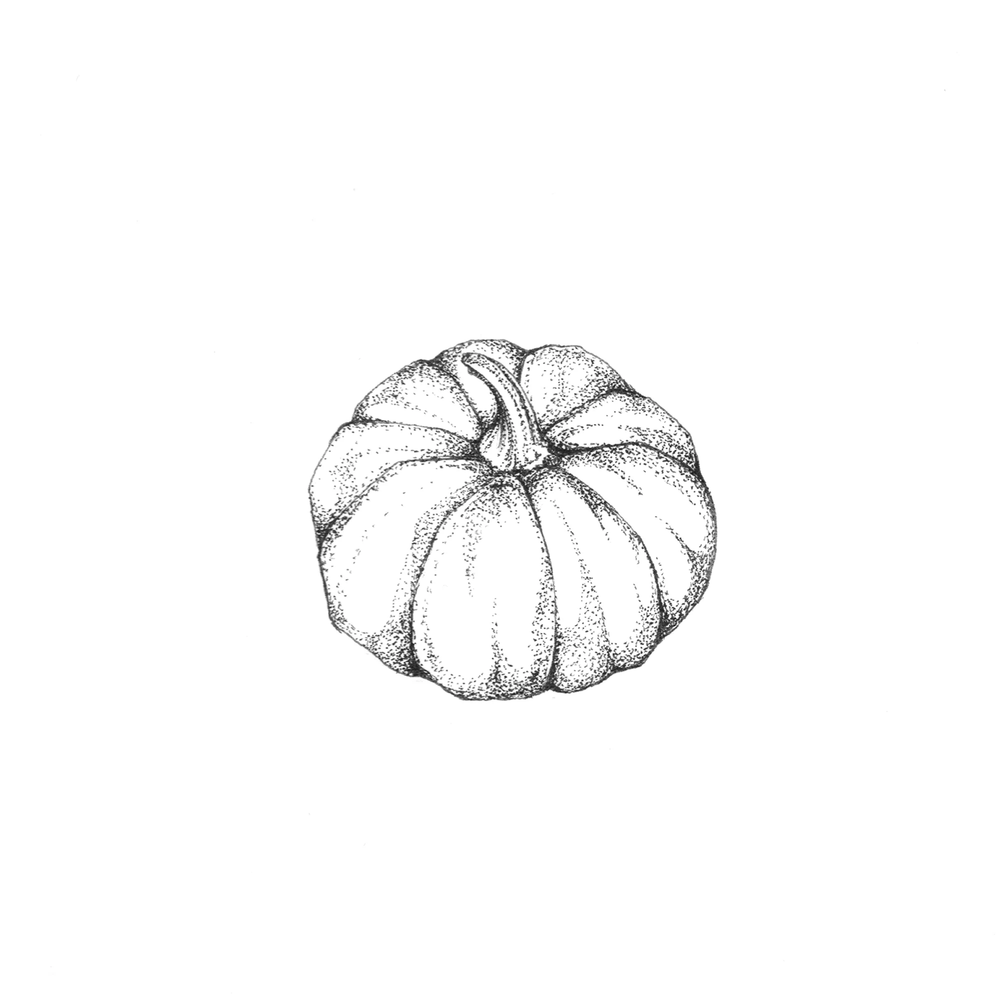 Pumpkin Print.jpg