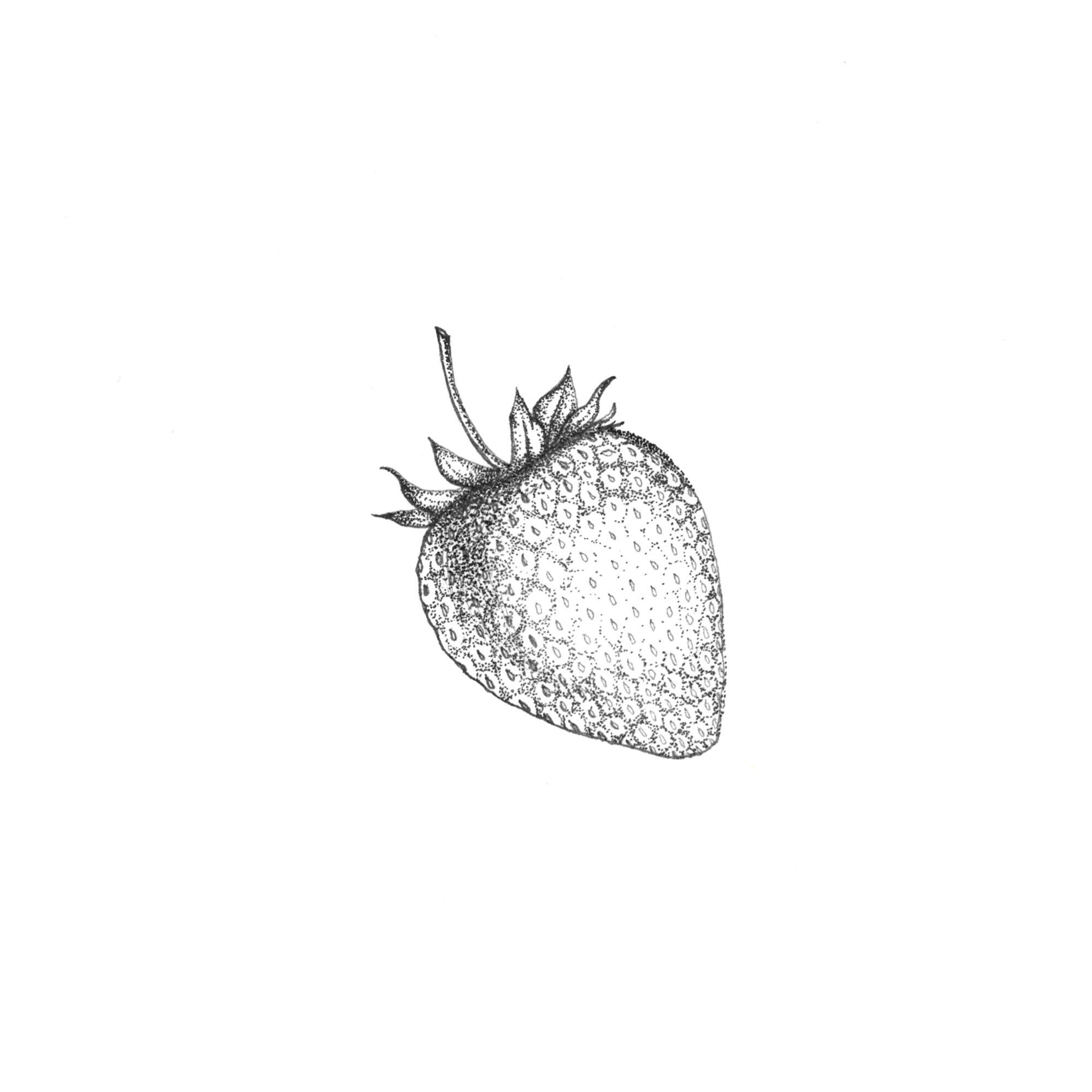 Strawberry Print.jpg