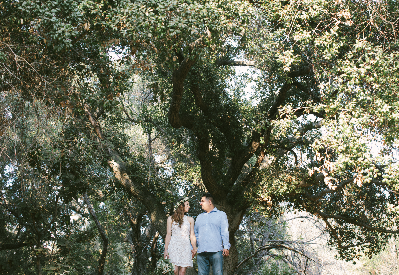 Oak Canyon Nature Engagement