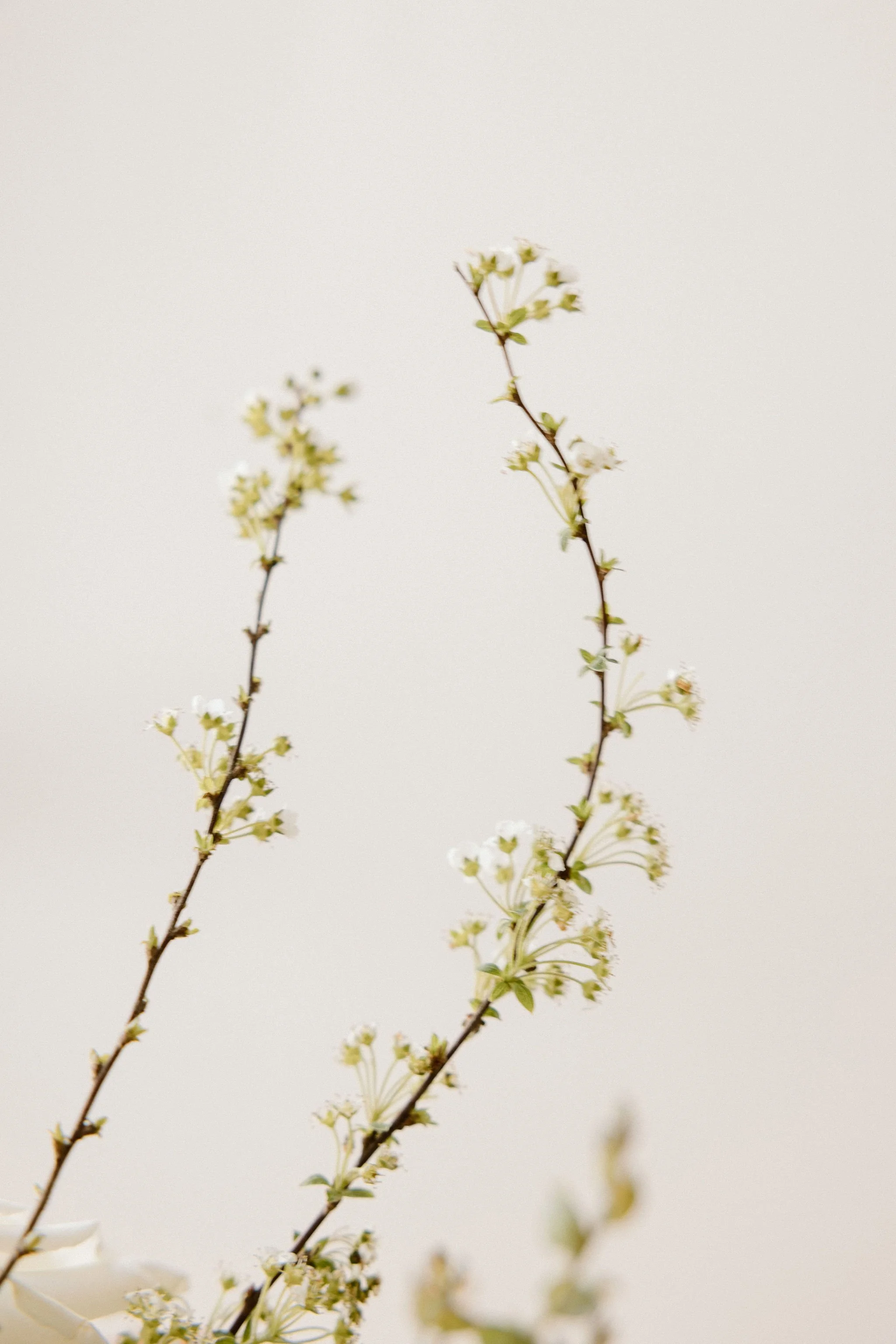orange county-wedding-floral-ceremony-arch.jpg