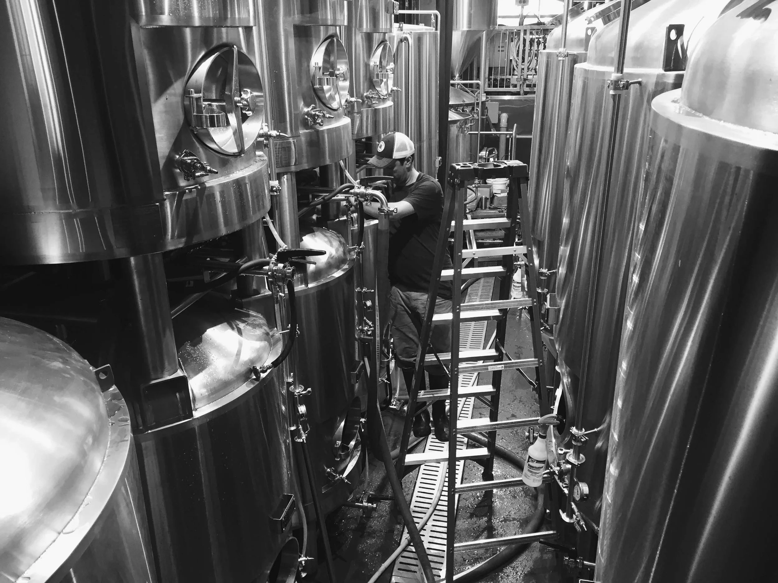 cellar.jpg
