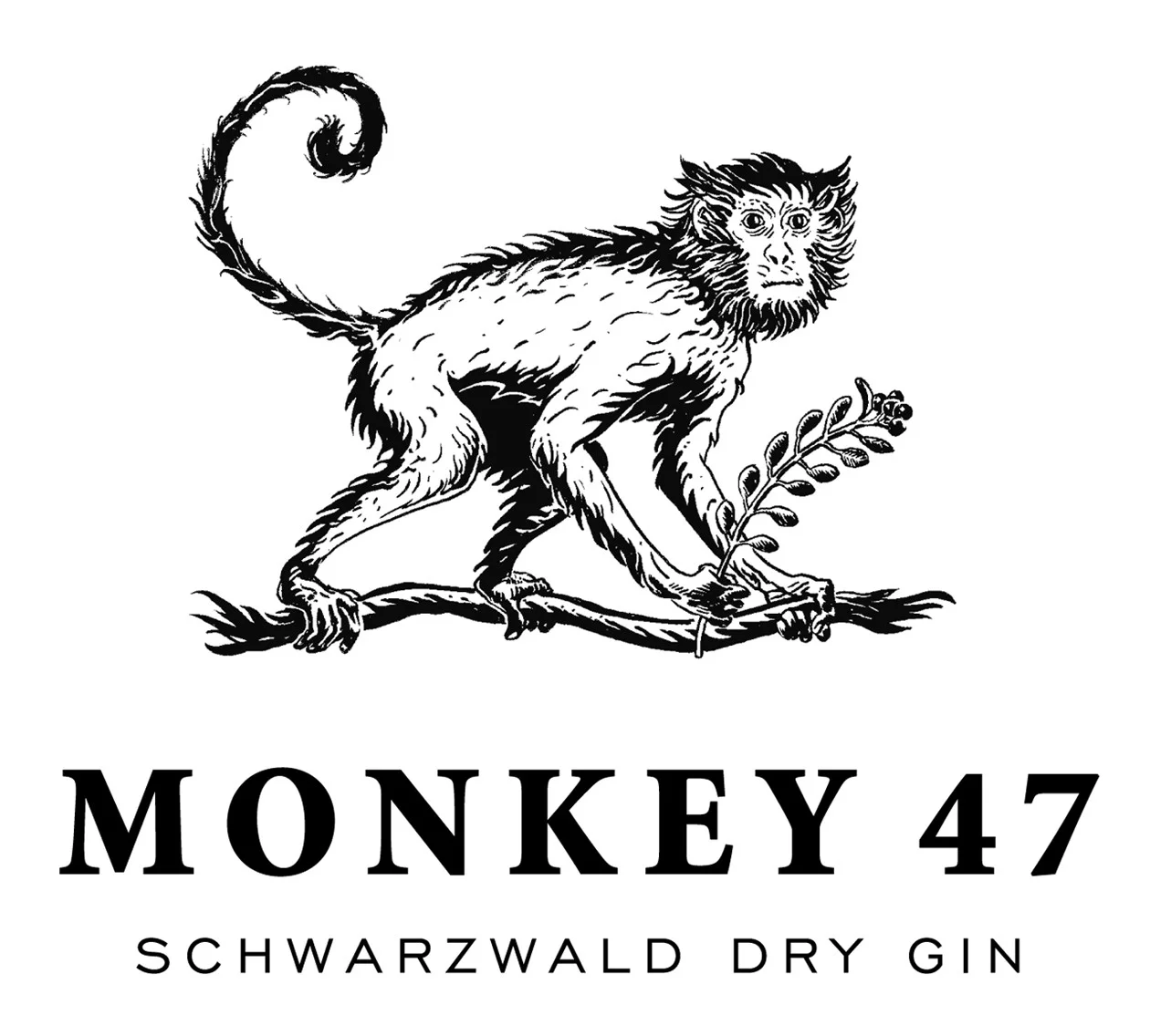 monkey47.jpg
