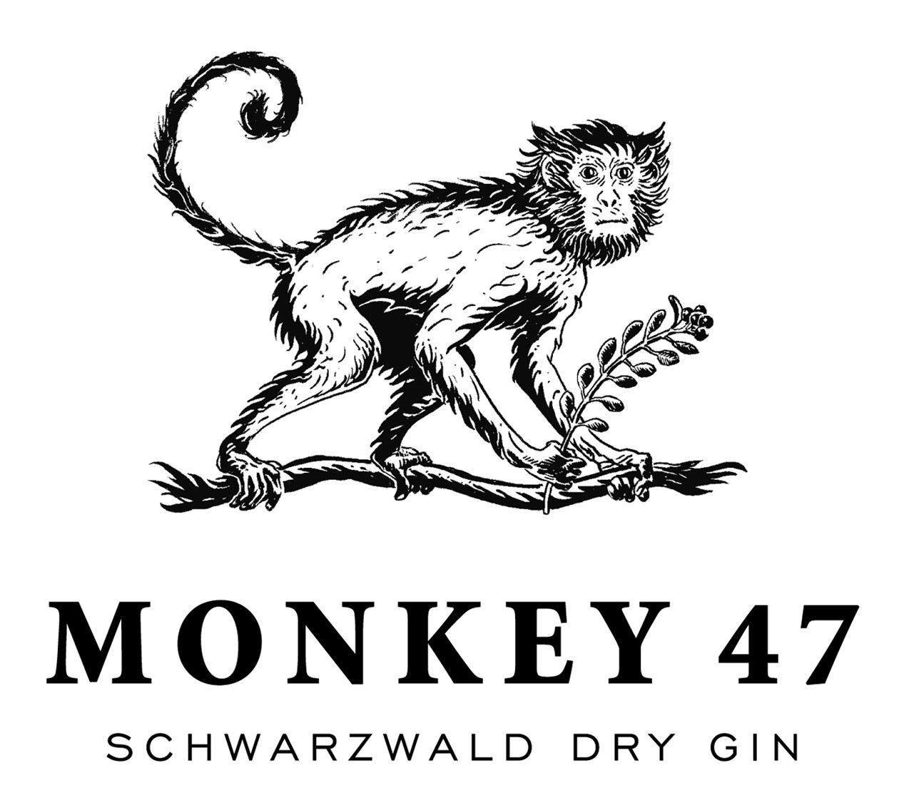 monkey47.jpg