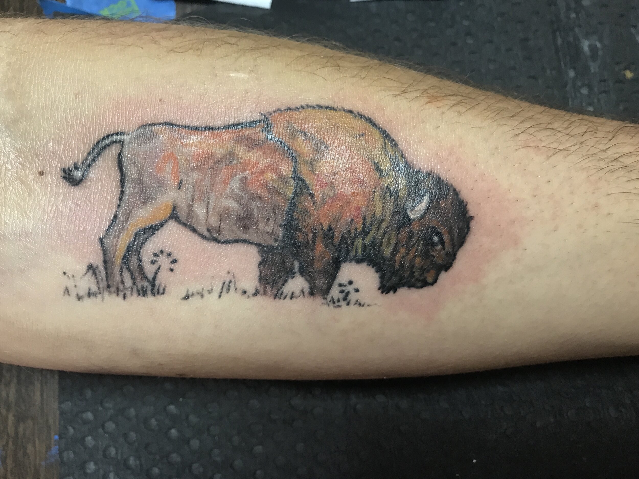 Buffalo Tattoo Design A Symbol Of Strength Prosperity And Freedom