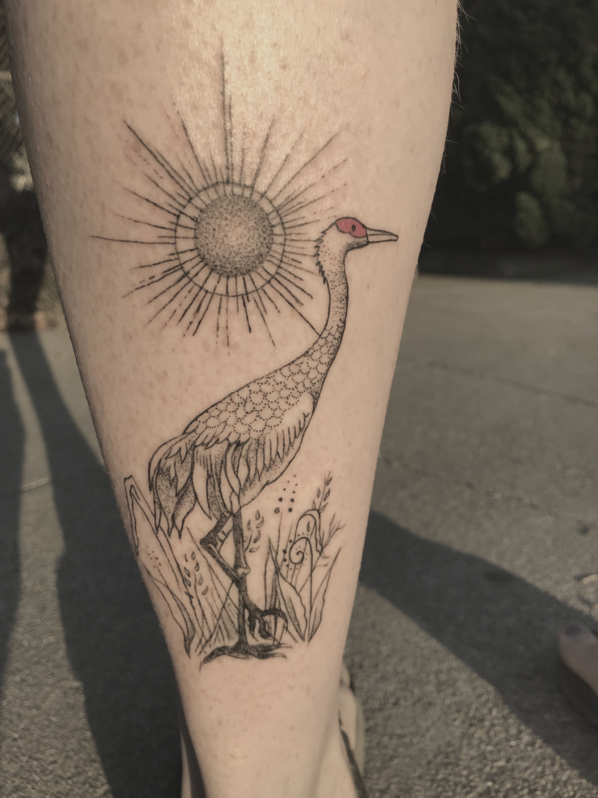 cranewithsunburst.jpg