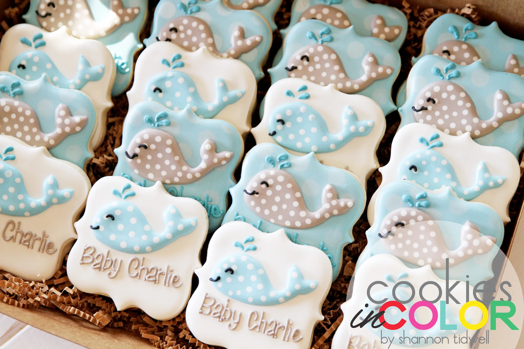 shannontidwell-cookiesincolor-babycharlie 1.jpg