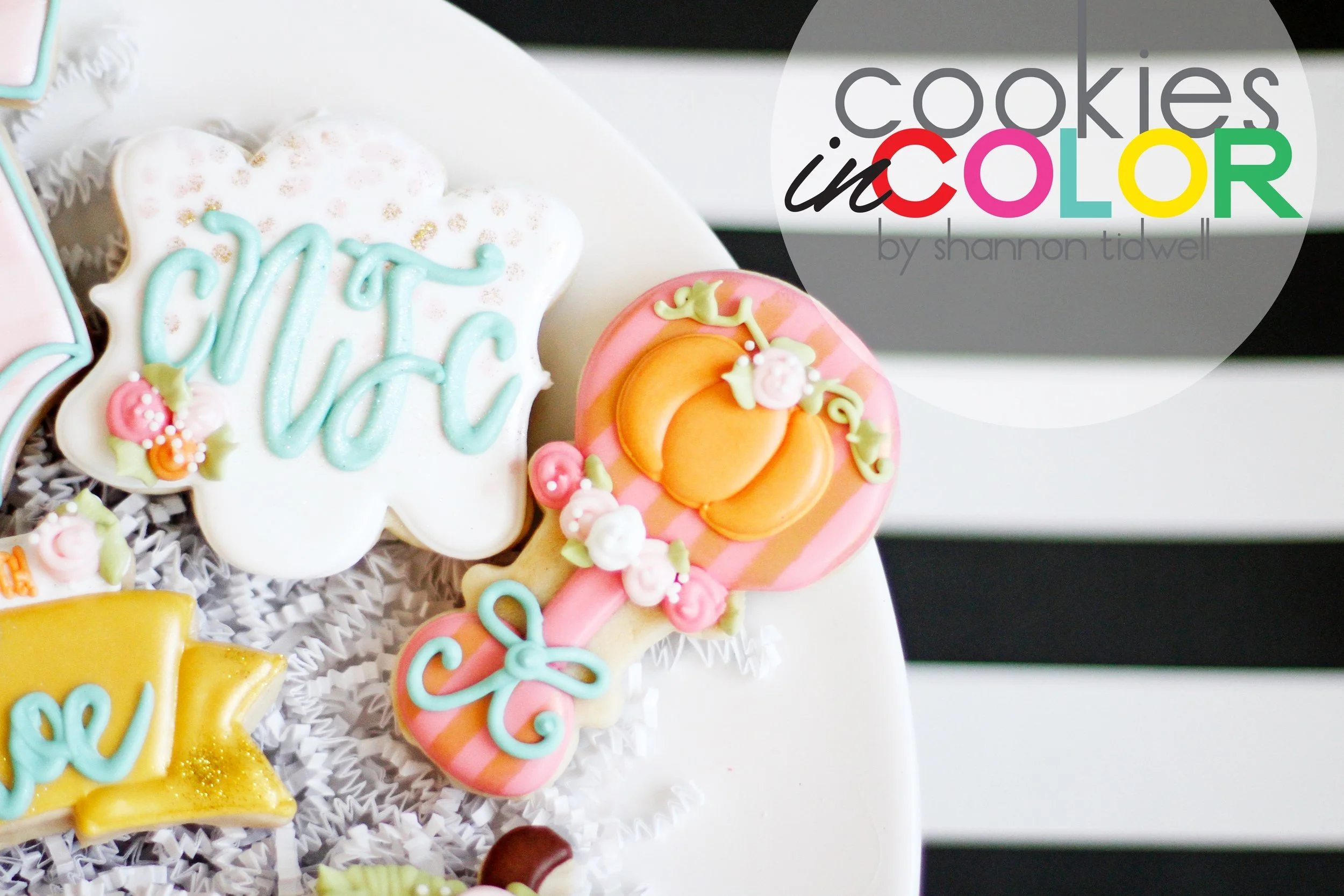 shannontidwell-cookiesincolor-babypumpkin 085.jpg