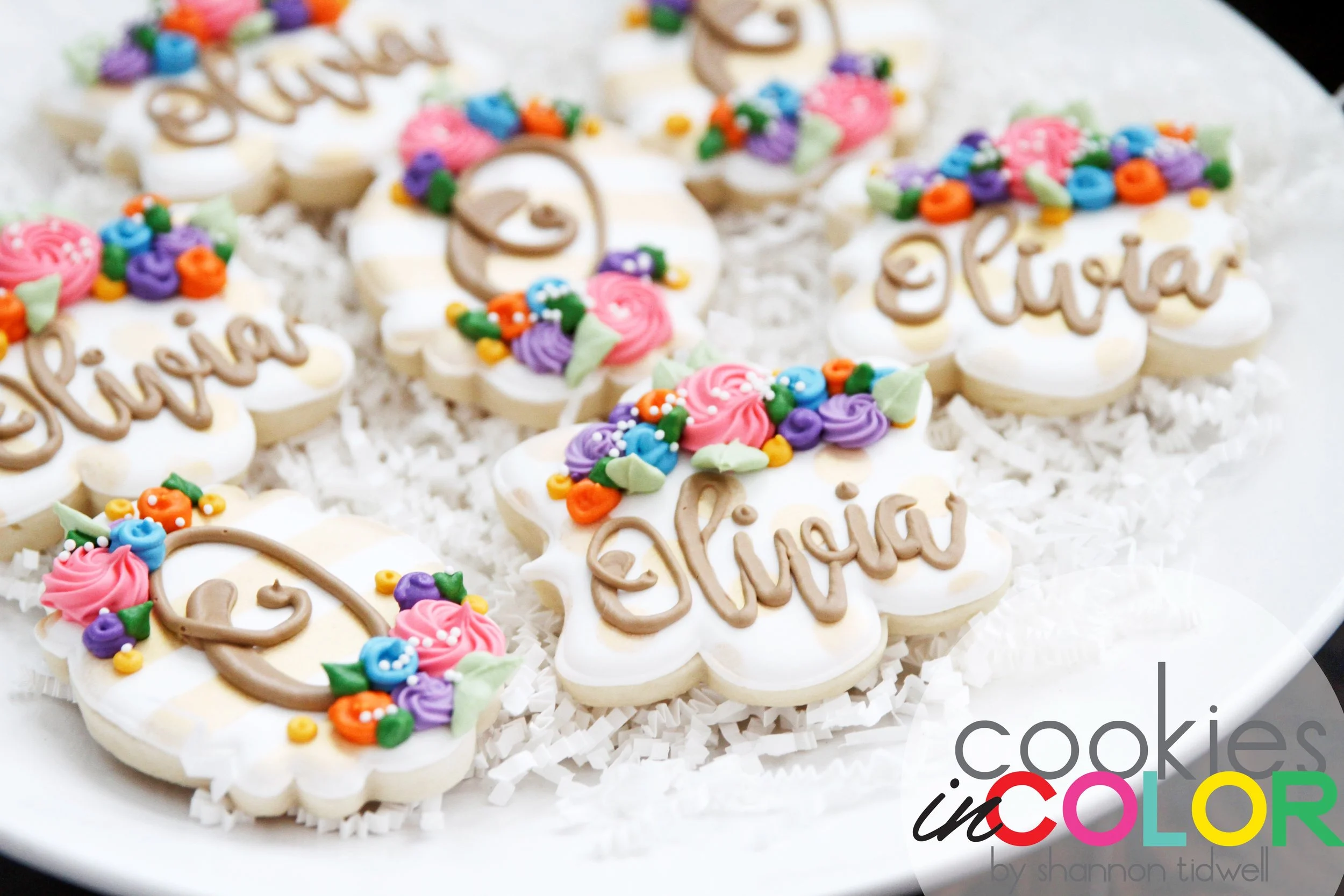 shannontidwell-cookiesincolor-babyolivia 012.jpg