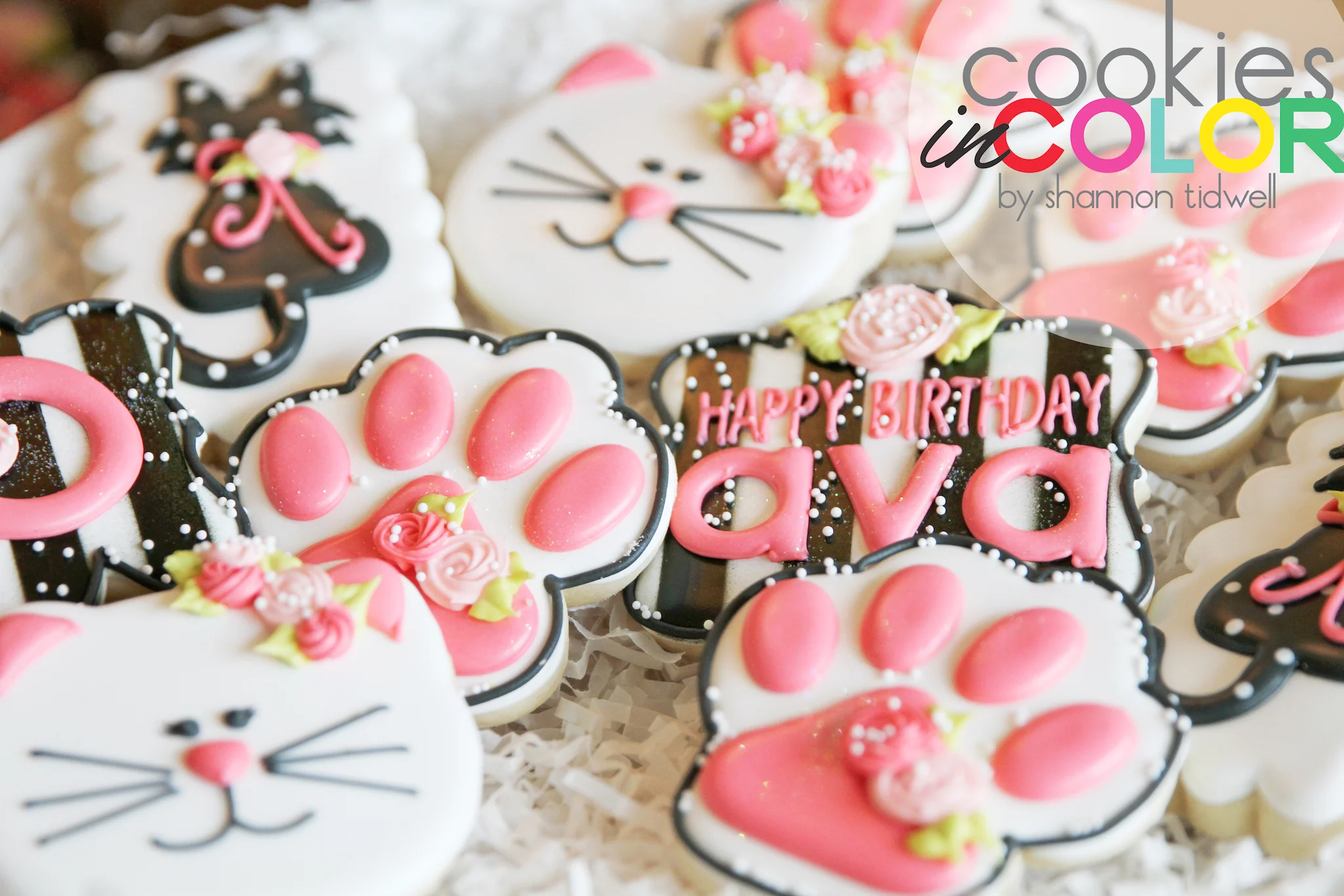 shannontidwell-cookiesincolor-kitty 1.jpg