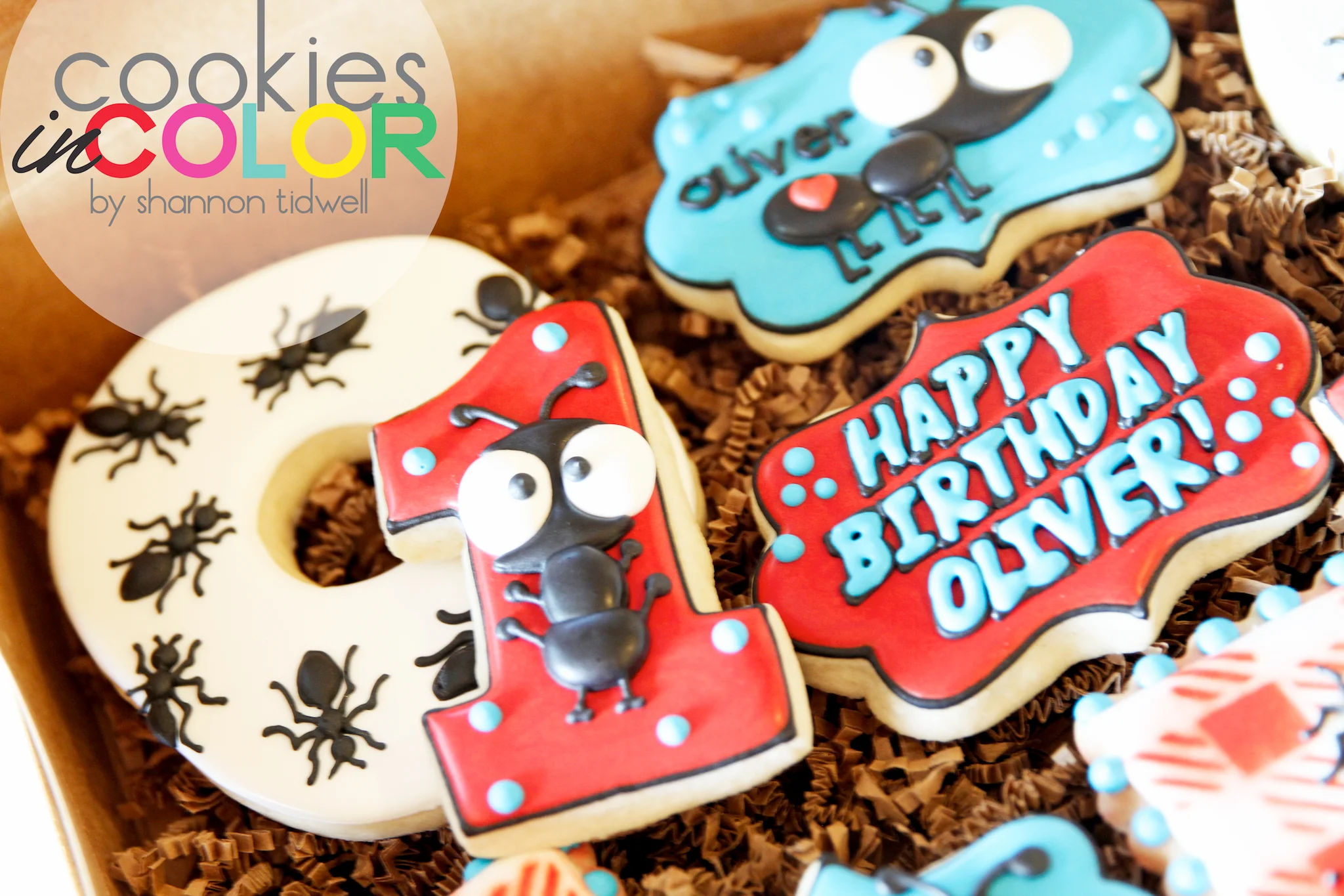 shannontidwell-cookiesincolor-picnic 3.jpg