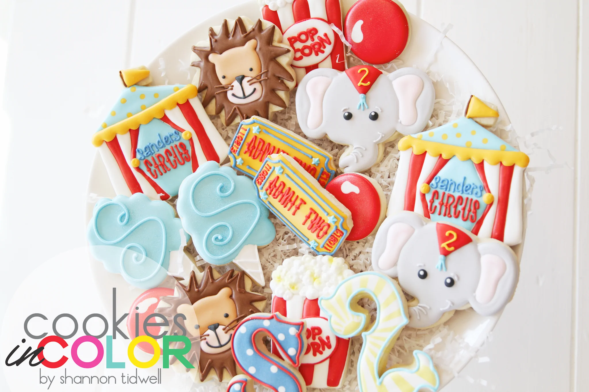 shannontidwell-cookiesincolor-twinscircus 1.jpg