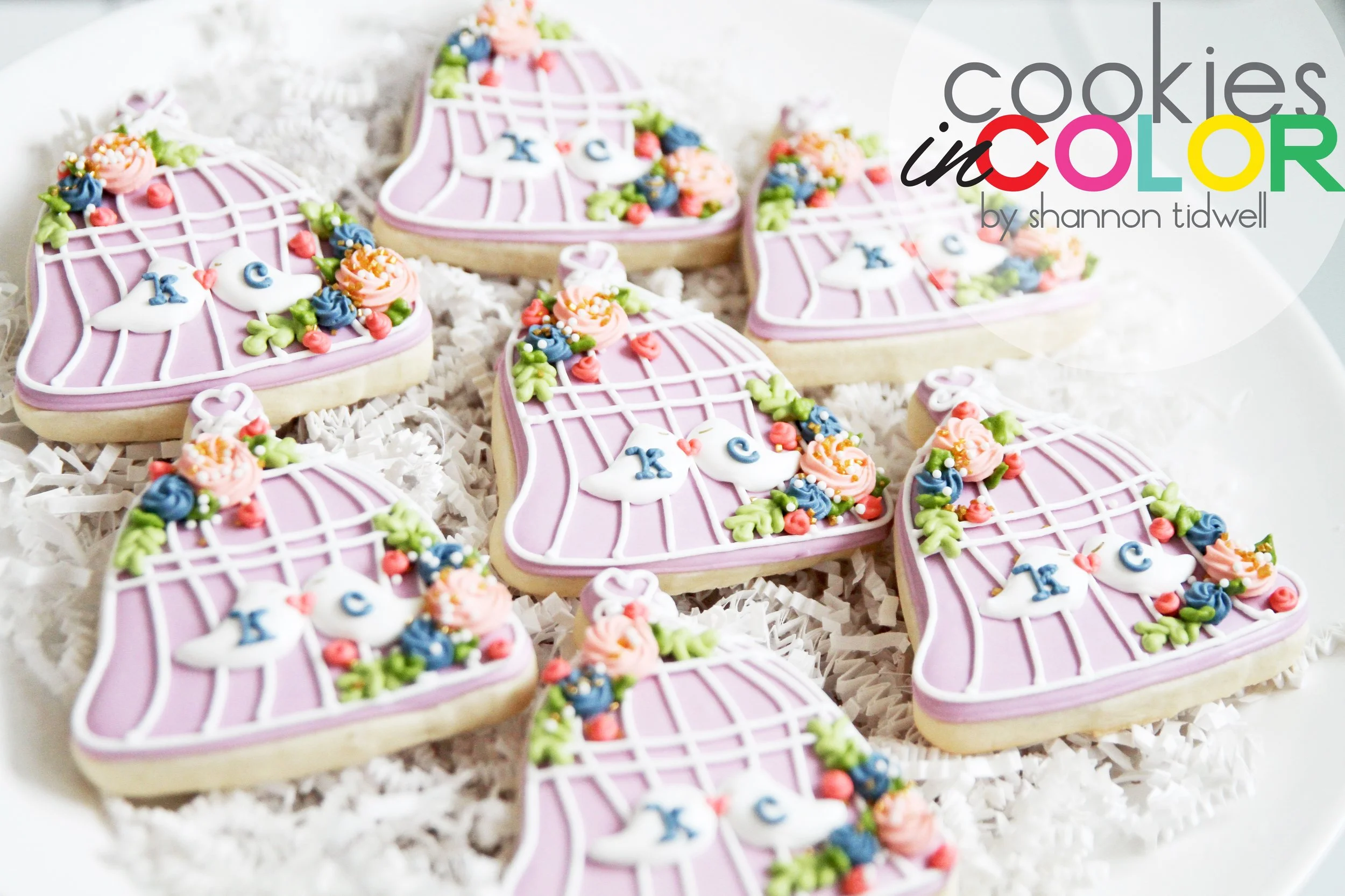 shannontidwell-cookiesincolor-birdcage 137.jpg