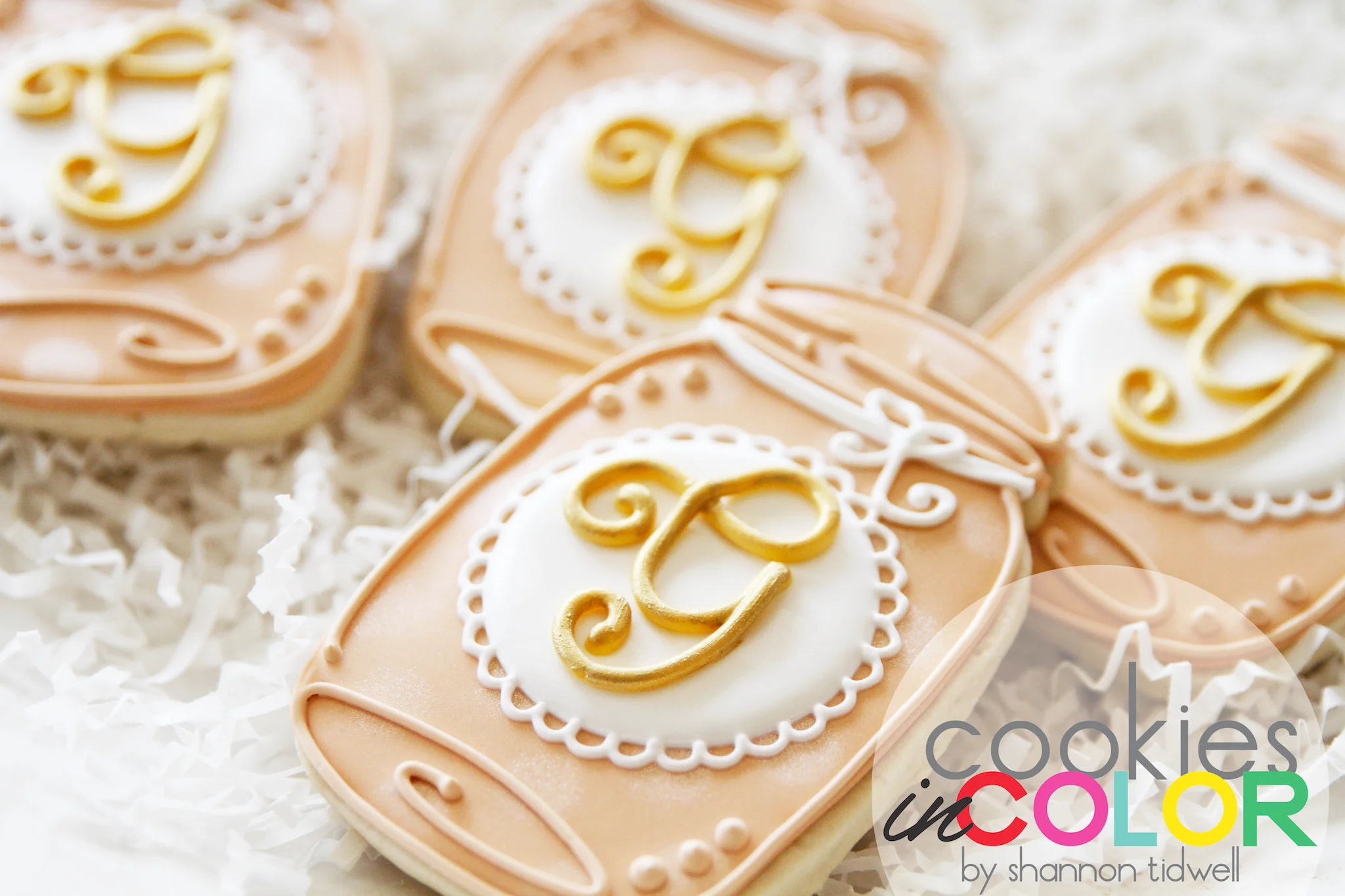 shannontidwell-cookiesincolor-Gmasonjar.jpg