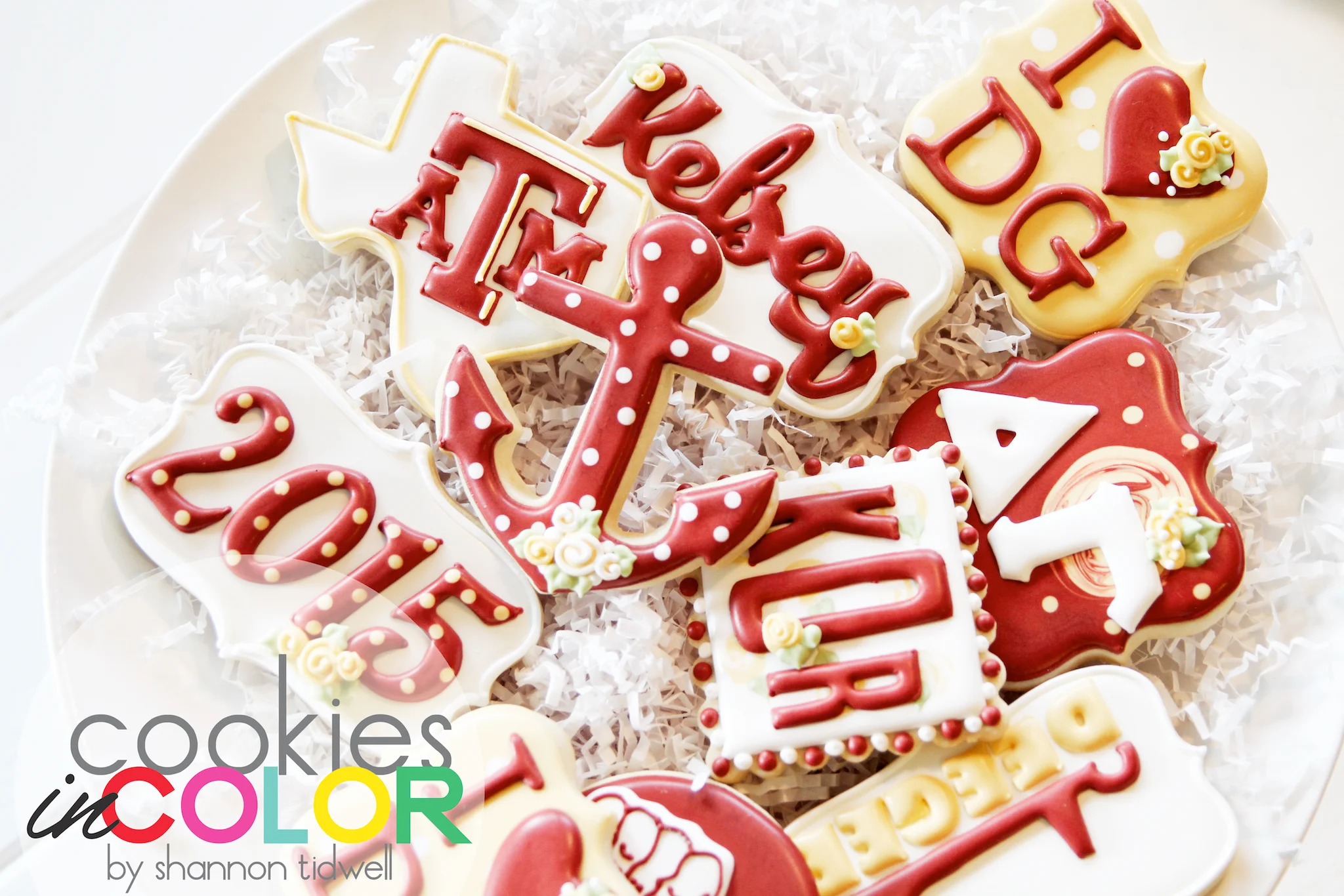shannontidwell-cookiesincolor-DGaggie 1.jpg