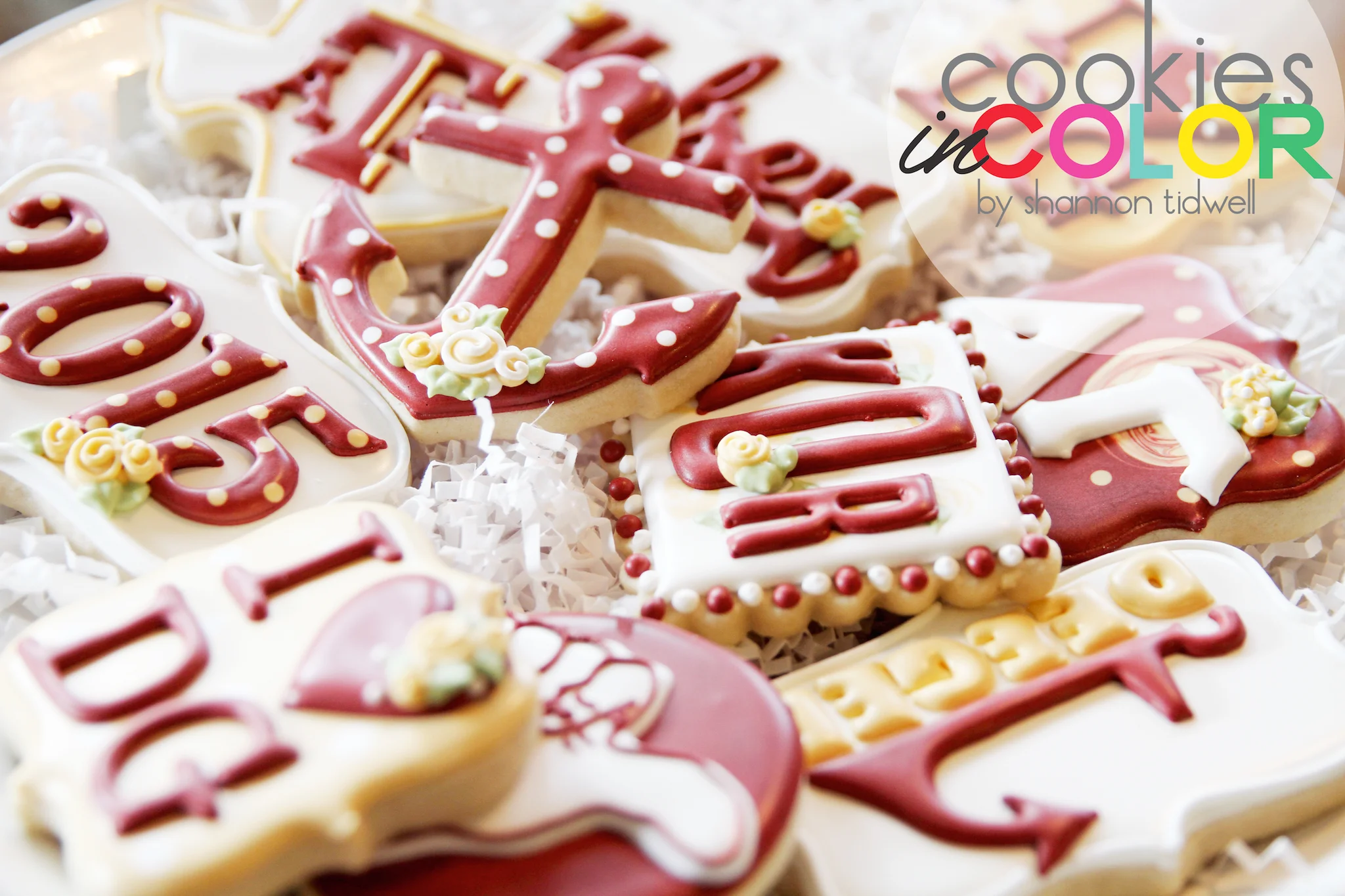 shannontidwell-cookiesincolor-DGaggie 3.jpg