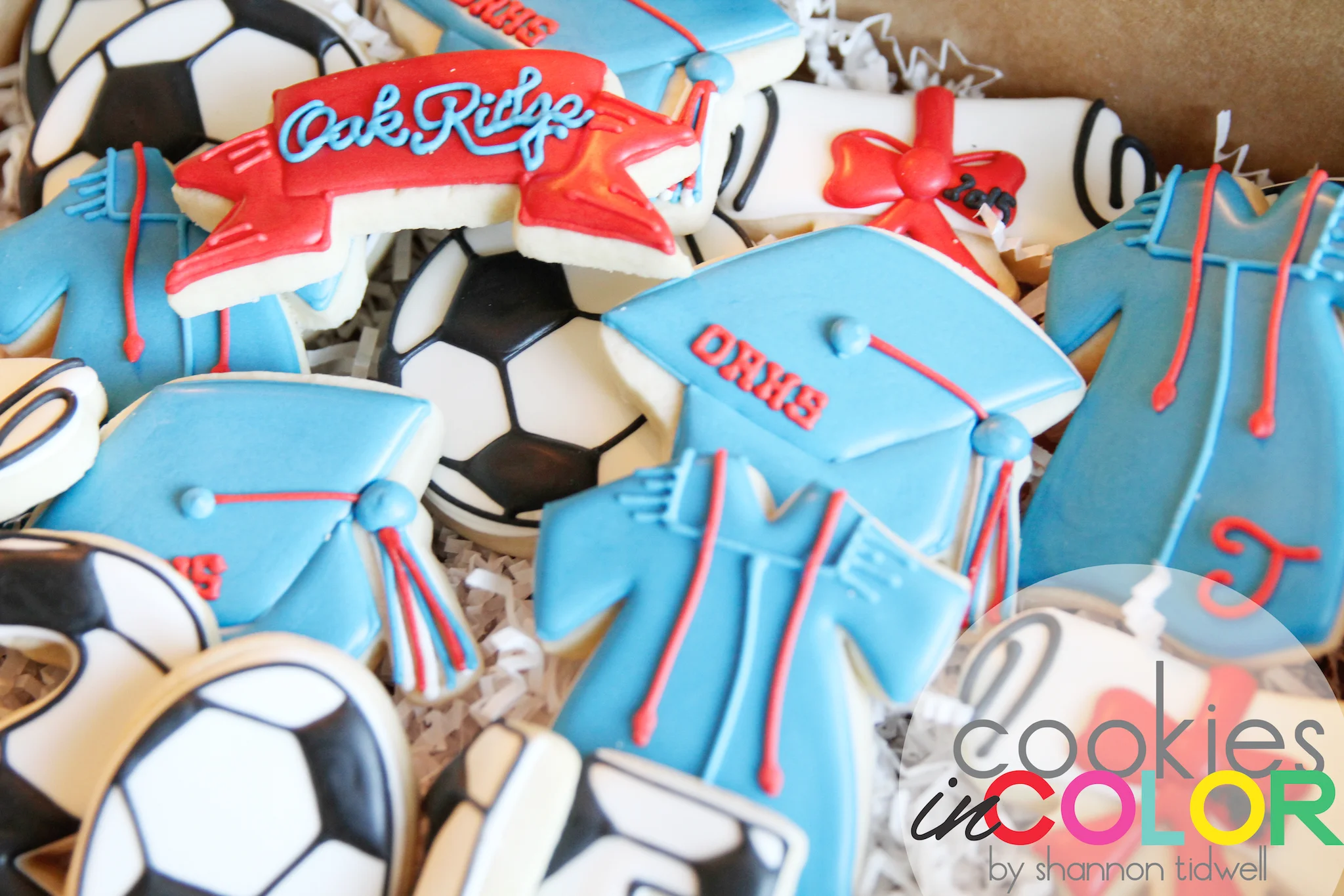 shannontidwell-cookiesincolor-graduation 1.jpg