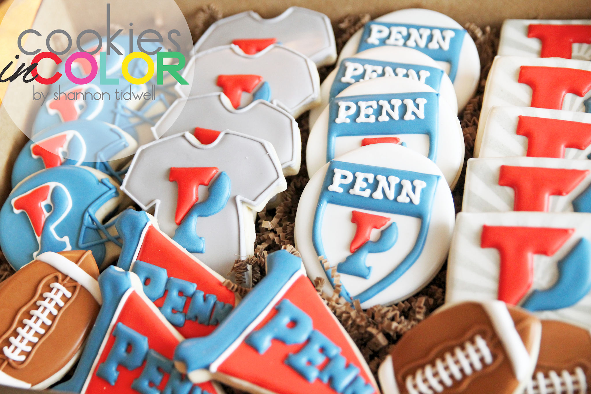 shannontidwell-cookiesincolor-penn 1.jpg