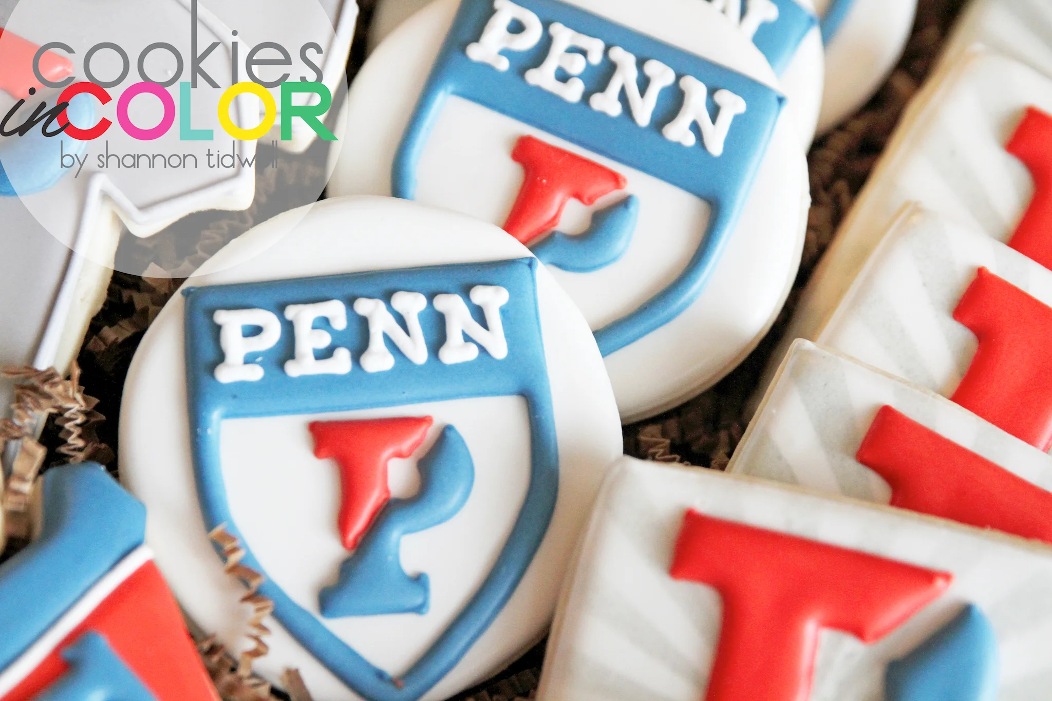 shannontidwell-cookiesincolor-penn 3.jpg