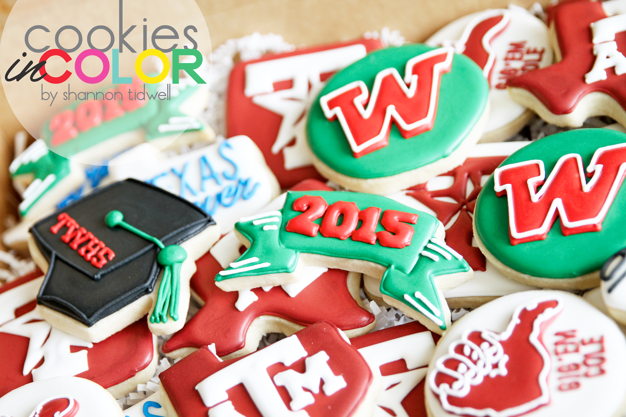 shannontidwell-cookiesincolor-twhs 1.jpg