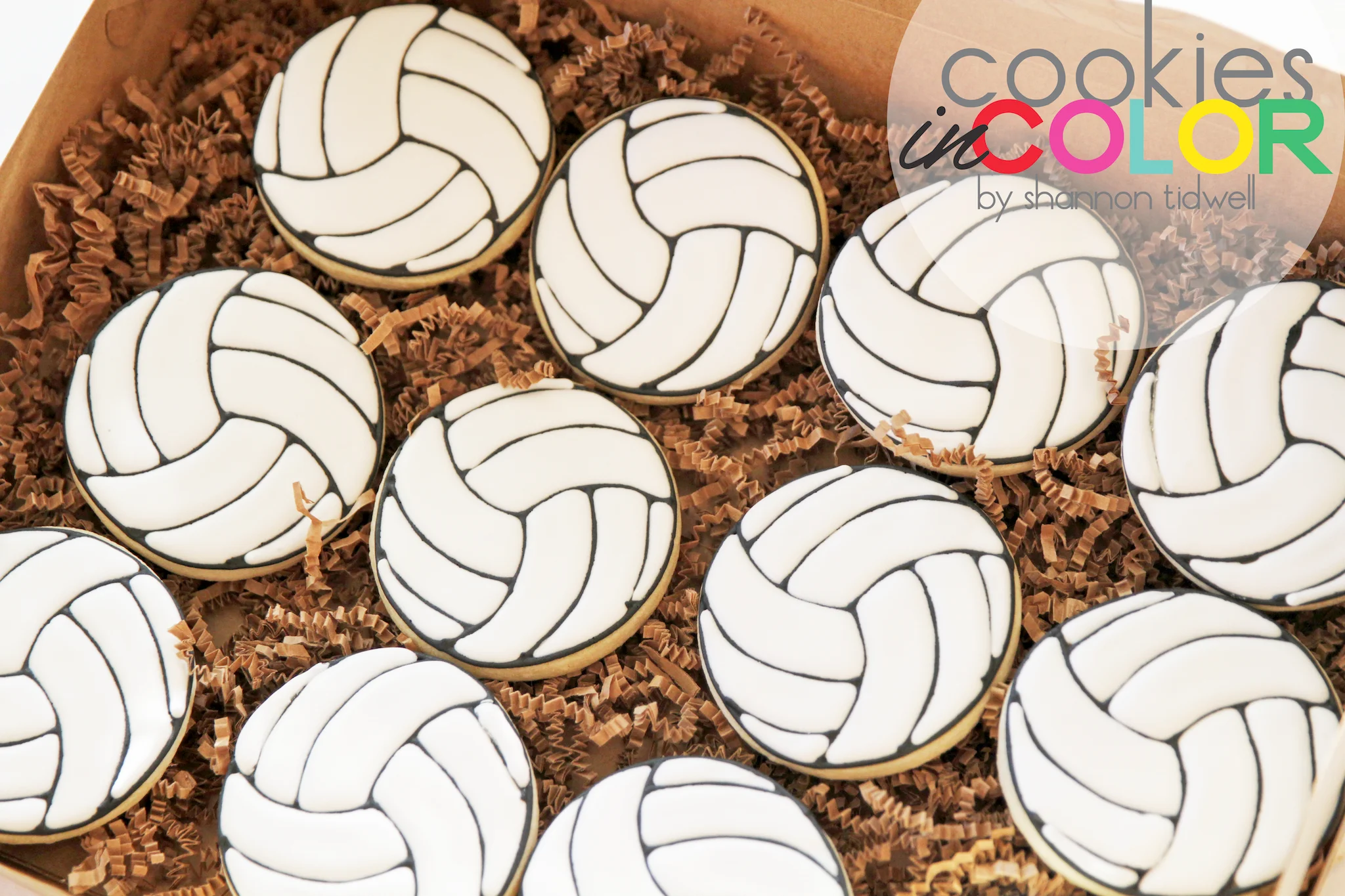 shannontidwell-cookiesincolor-volleyball 1.jpg