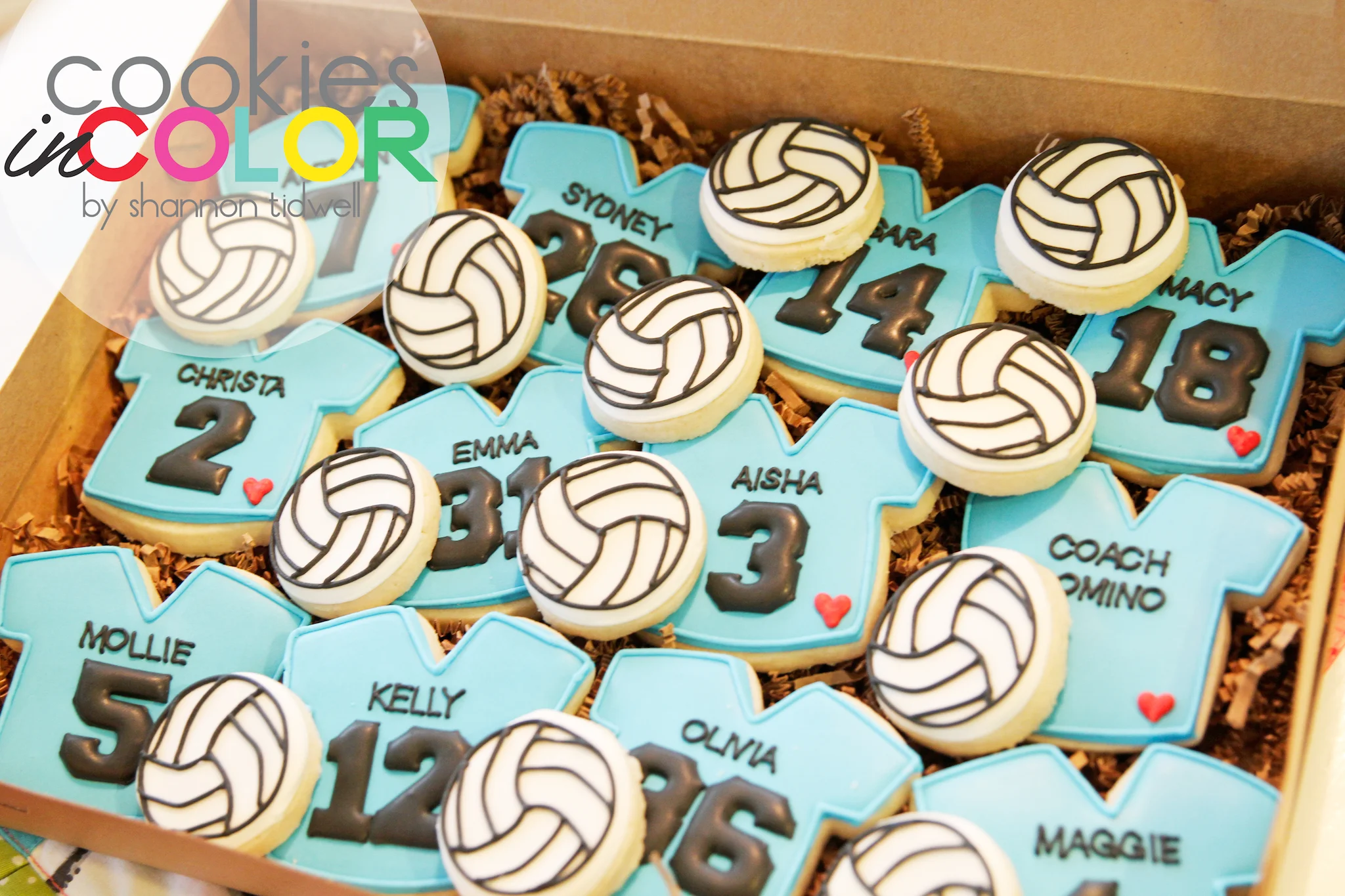 shannontidwell-cookiesincolor-volleyball.jpg