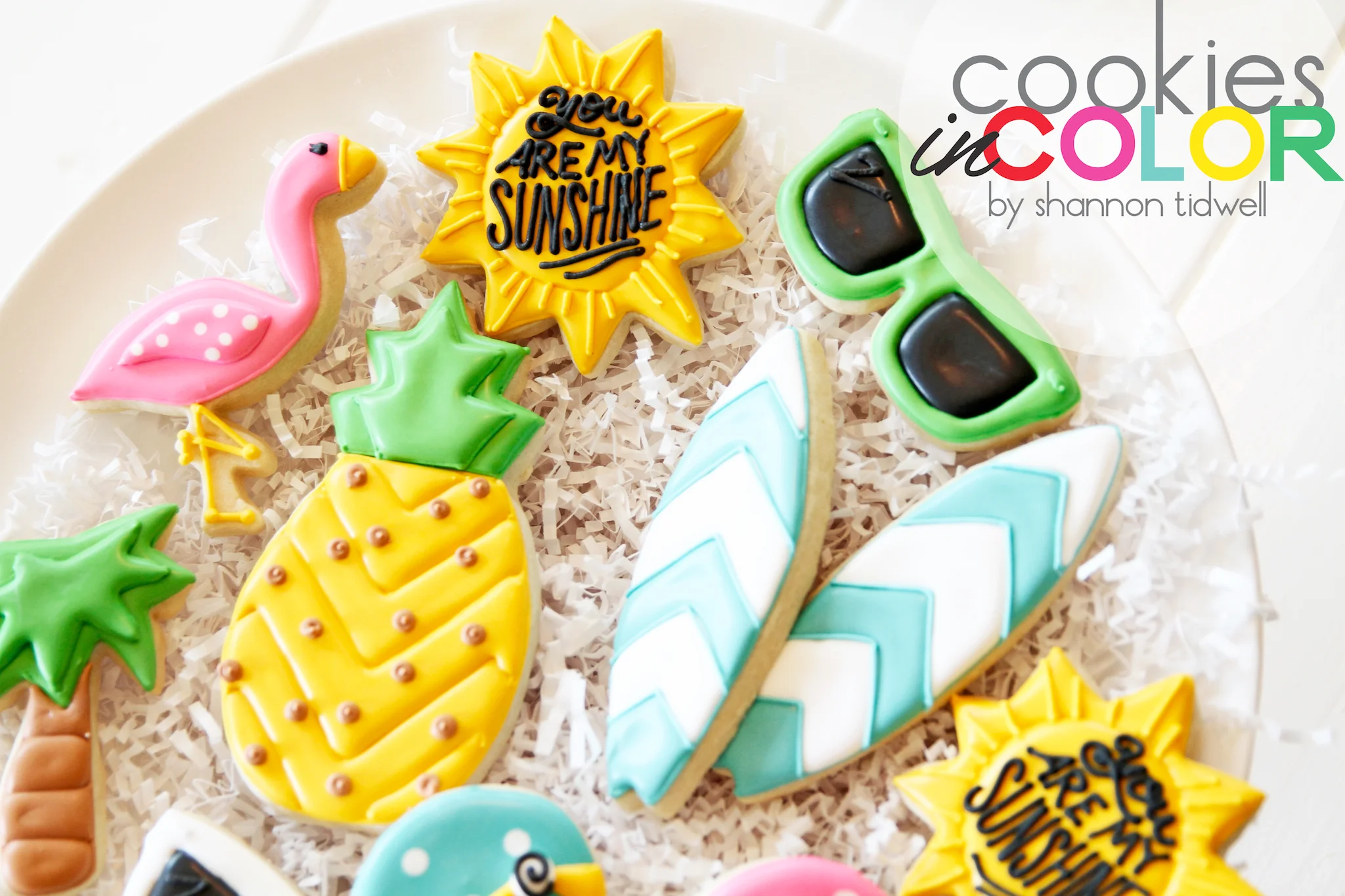 shannontidwell-cookiesincolor-summerfun 1.jpg