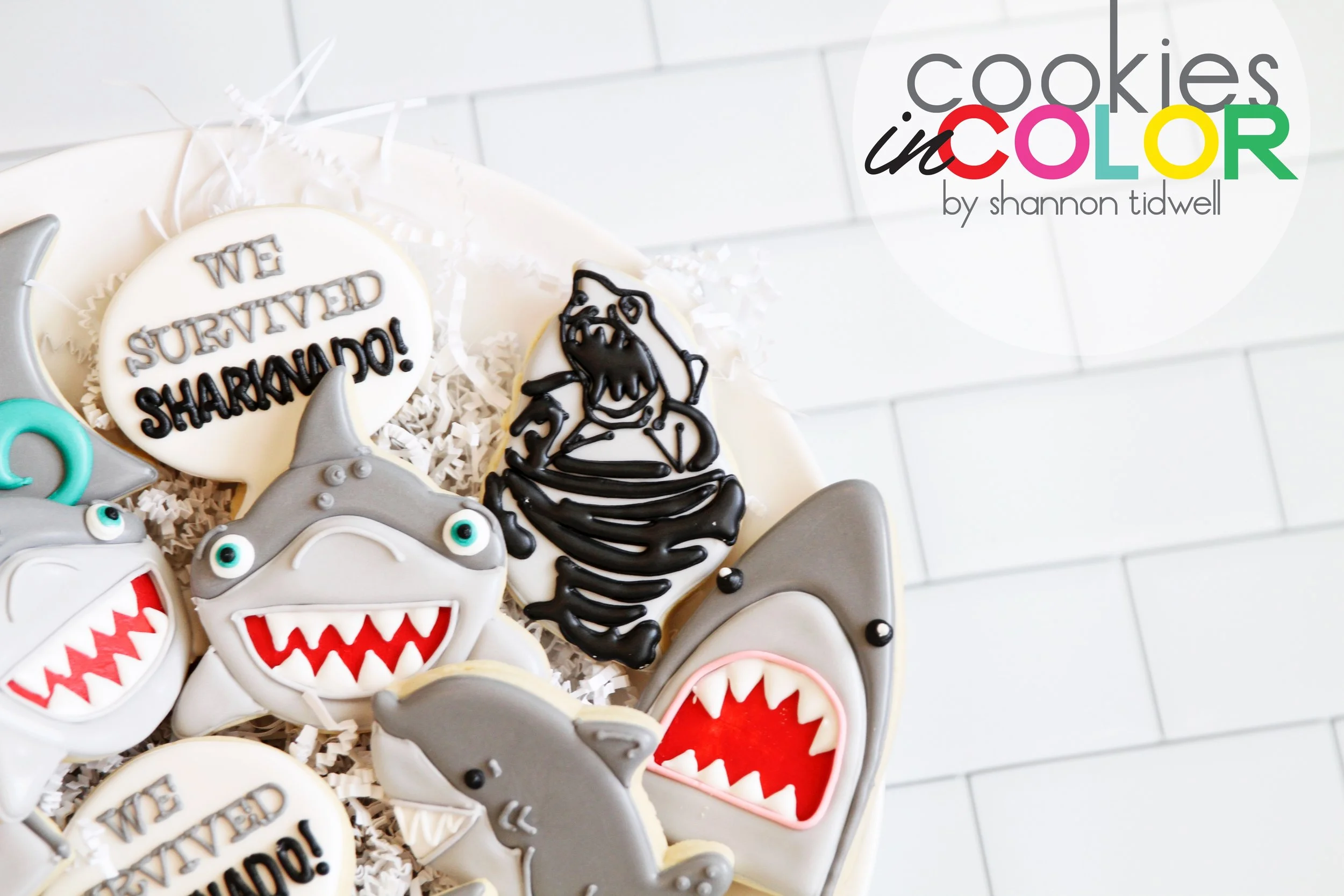 shannontidwell-cookiesincolor-shark 268.jpg