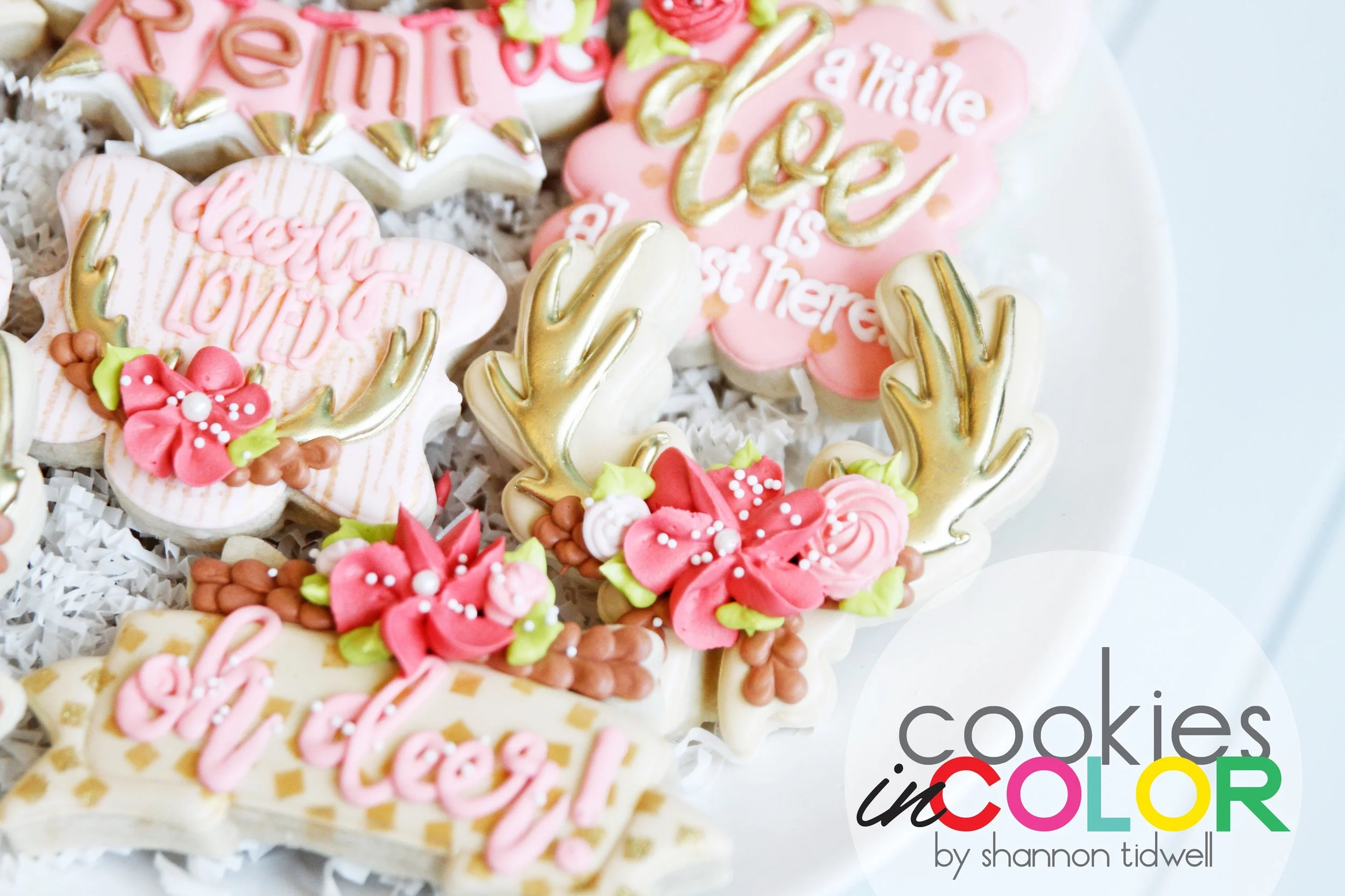shannontidwell-cookiesincolor-deer 195.jpg