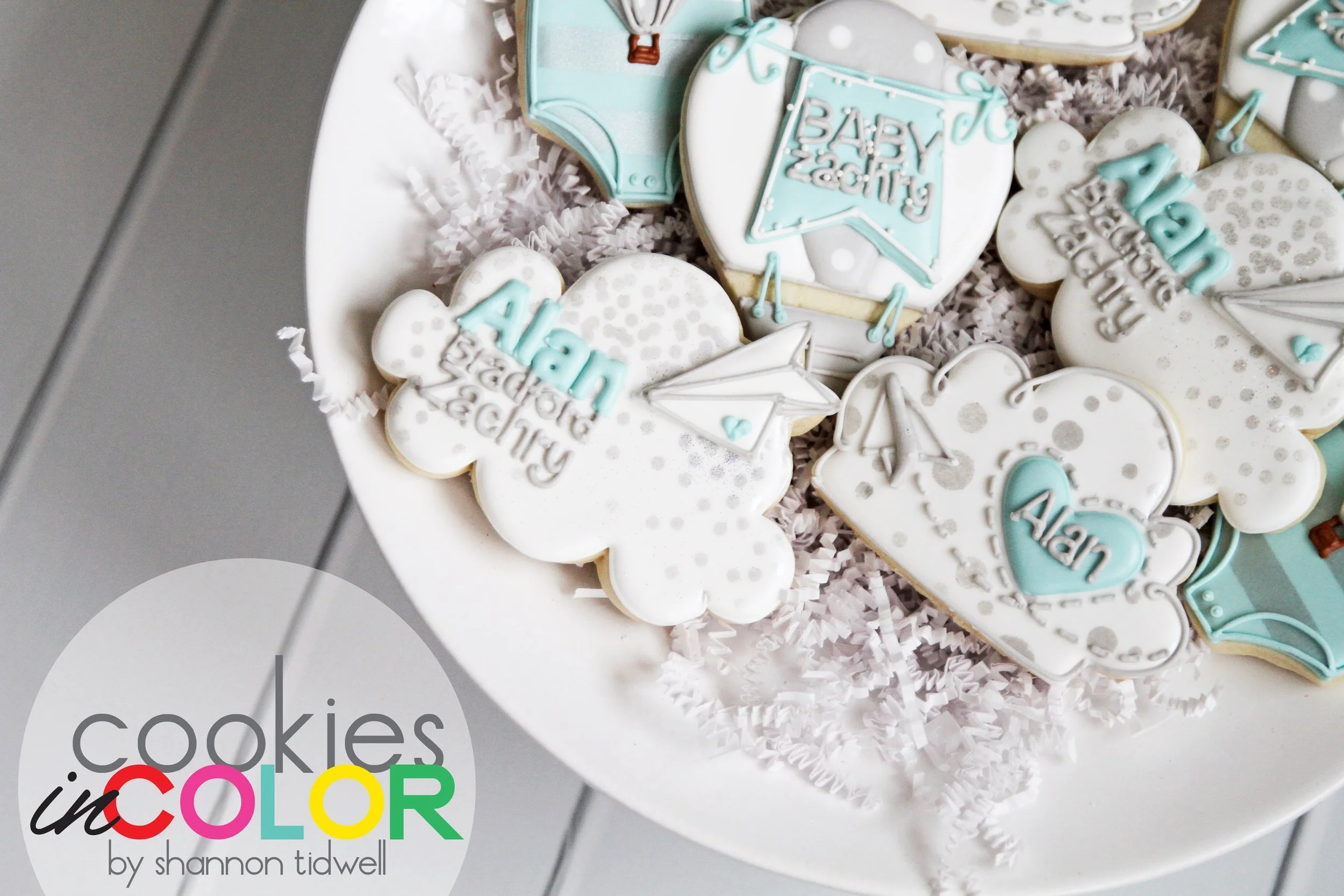 shannontidwell-cookiesincolor-paperplanes 107.jpg