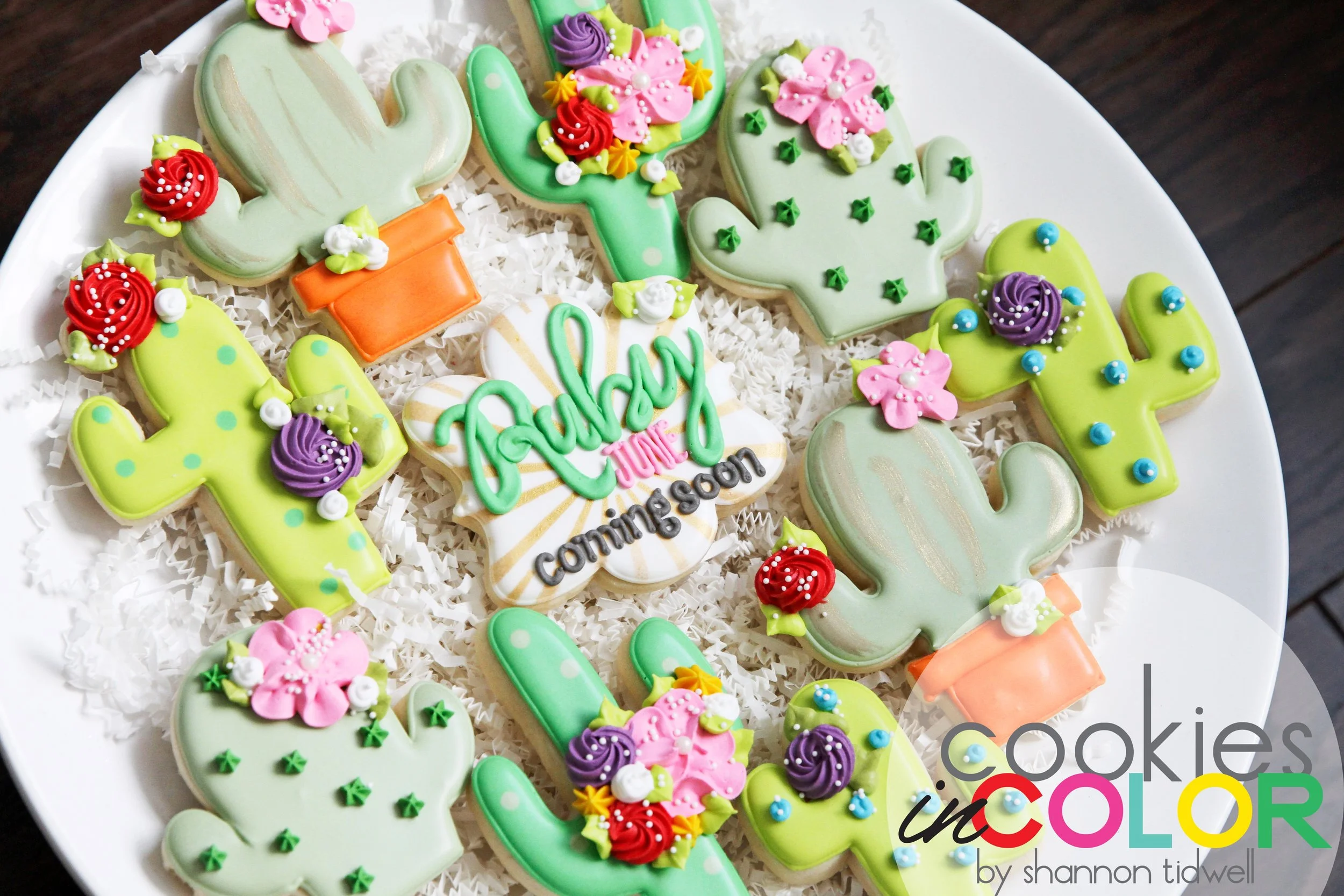 shannontidwell-cookiesincolor-cactus 163.jpg