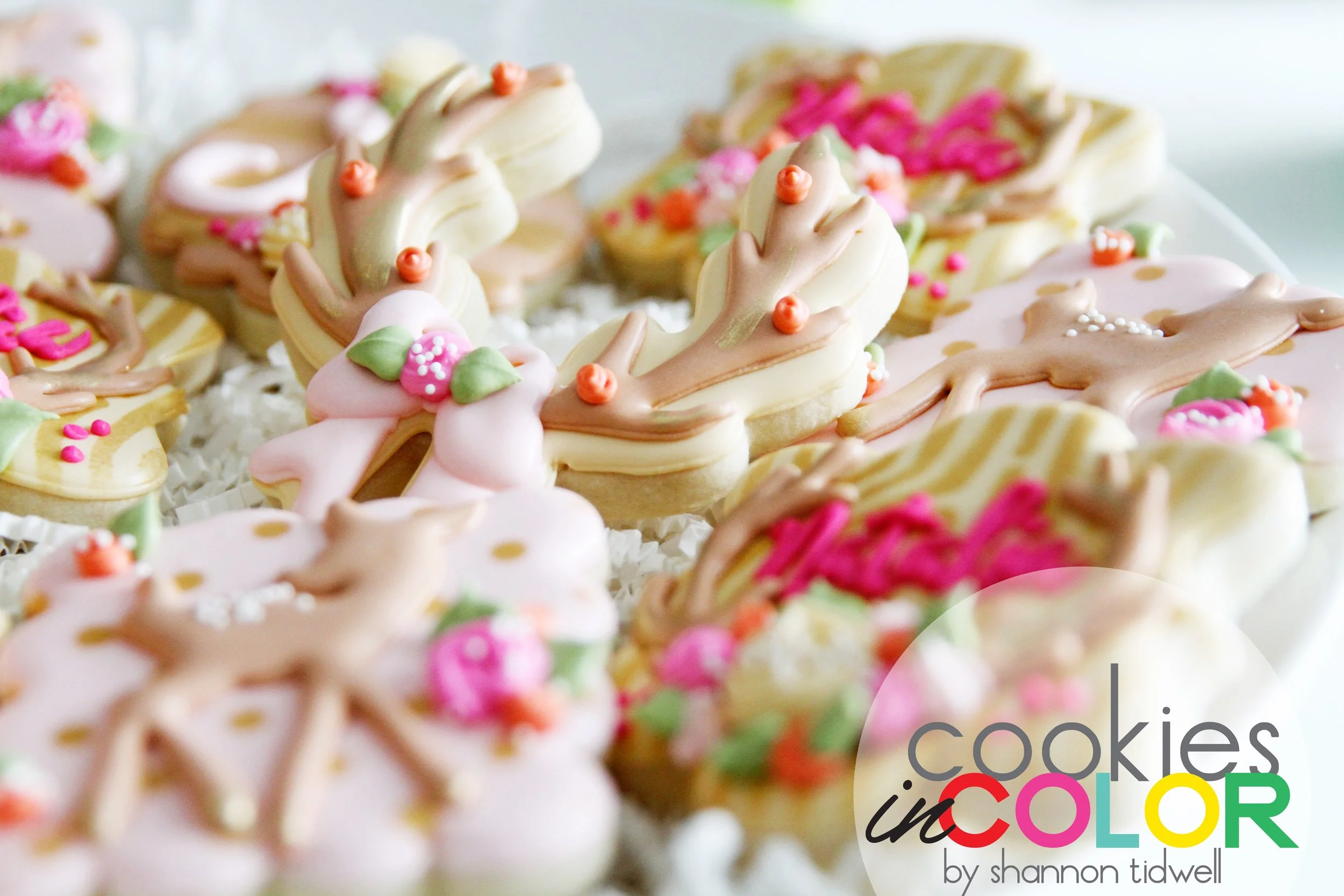 shannontidwell-cookiesincolor-deerbaby 104.jpg