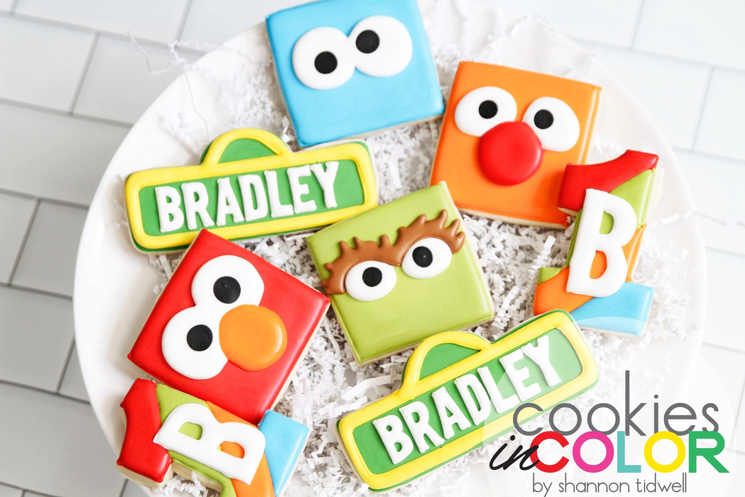 shannontidwell-cookiesincolor-sesamestreet 241.jpg