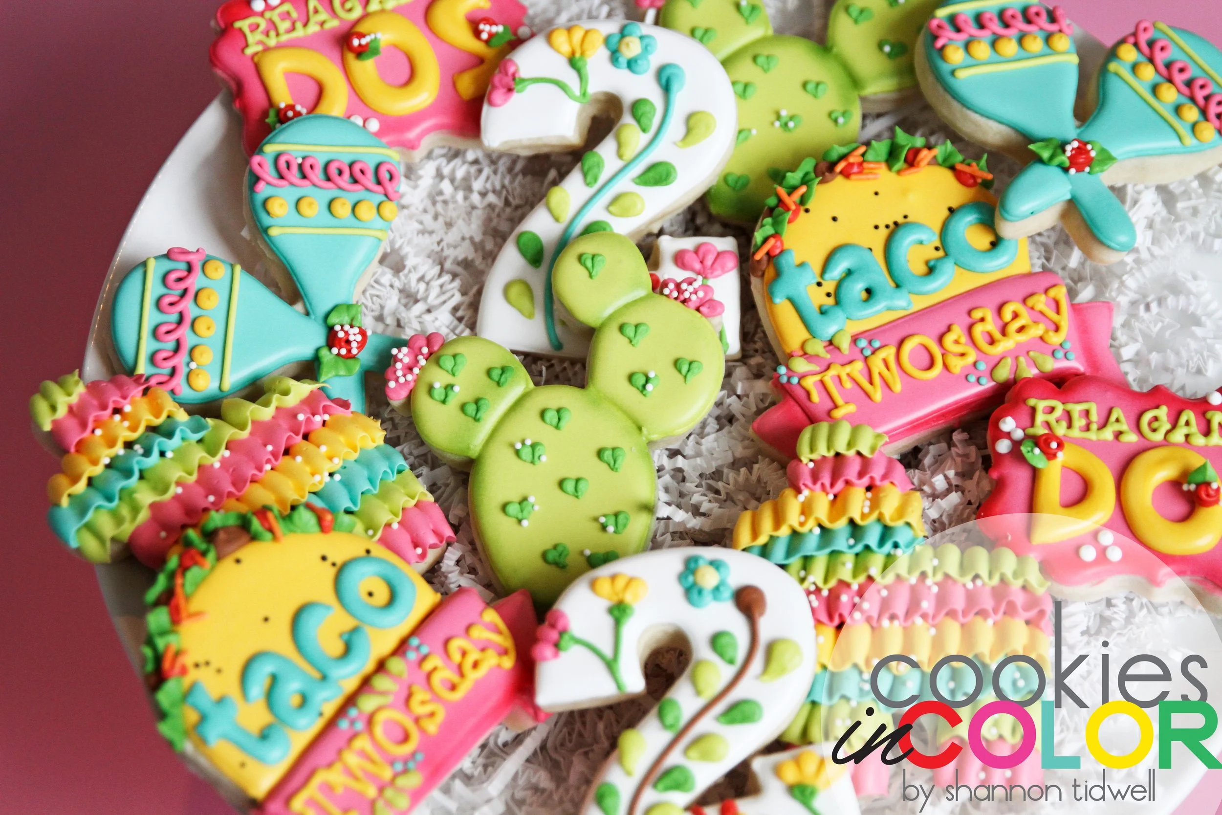 shannontidwell-cookiesincolor-taco 141.jpg